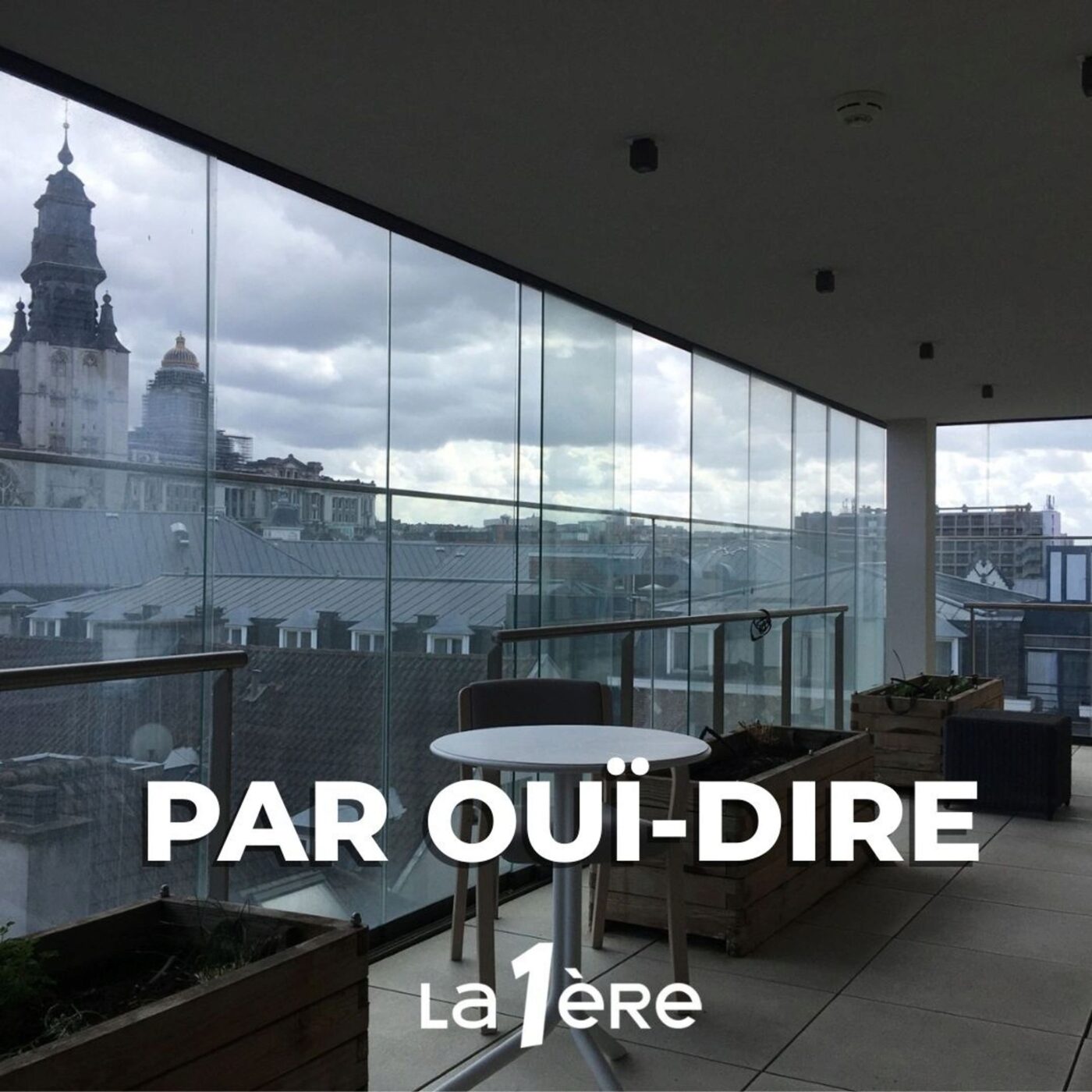 La maison Vésale par Isabelle Rey, deuxième partie: l'institution