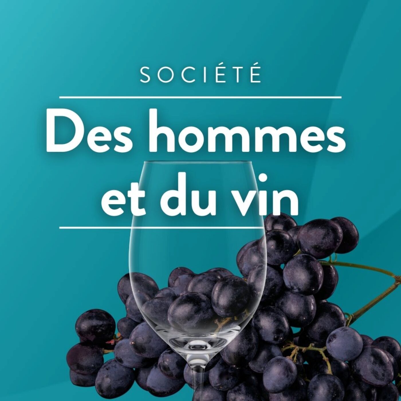 Des hommes et du vin
