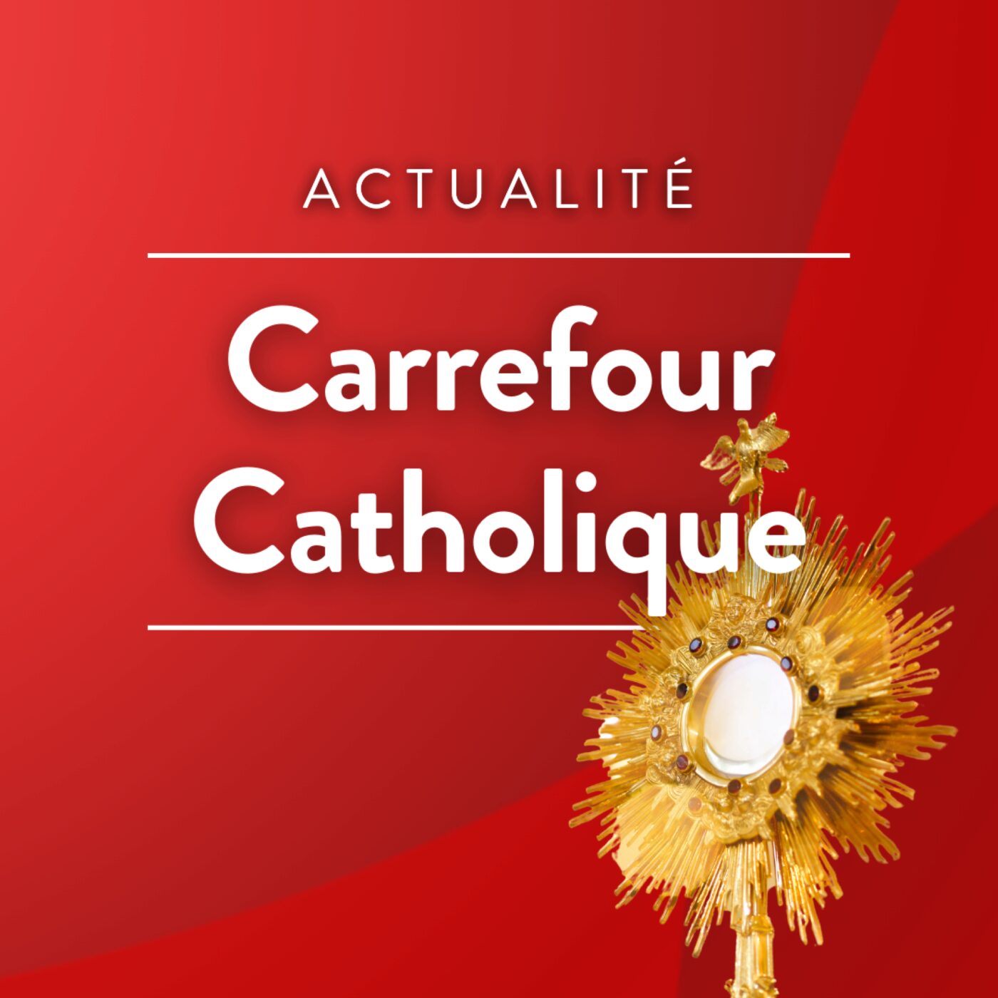 Un grand rassemblement diocésain pour les équipes du Rosaire à Marseille episode artwork