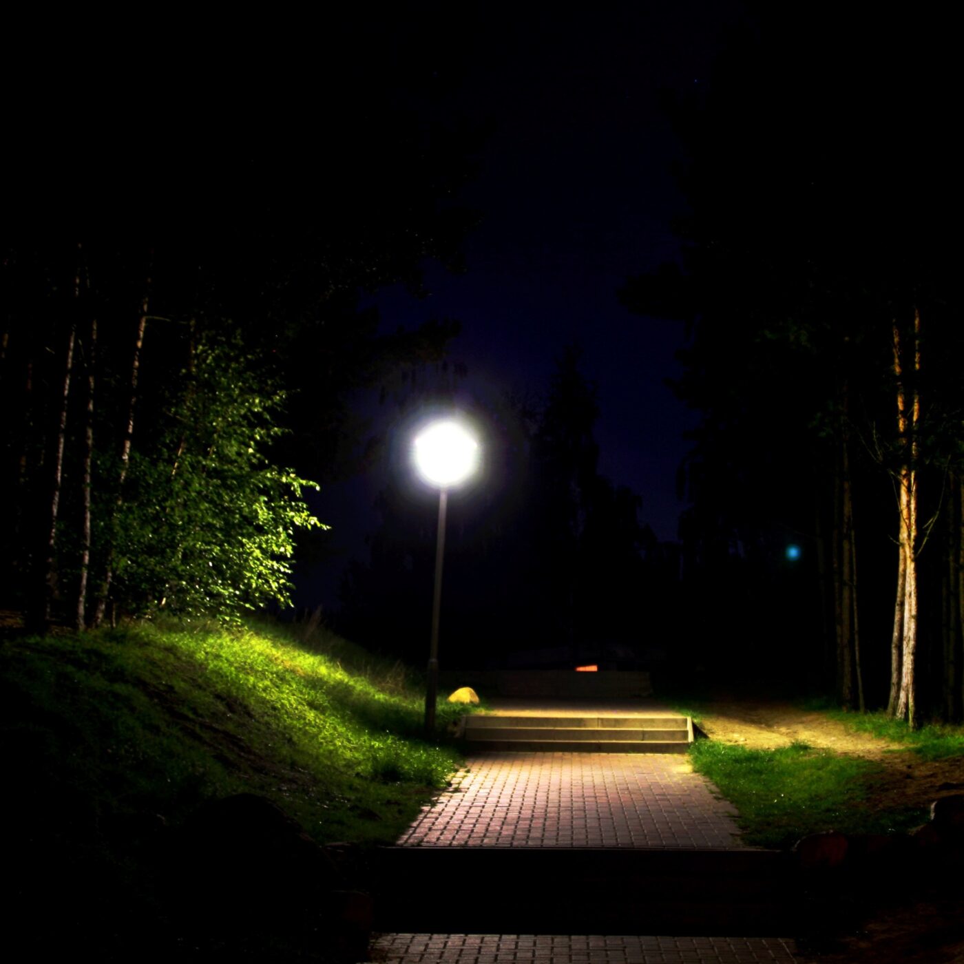 Pollution lumineuse : quel bilan pour France Nature Environnement ? episode artwork
