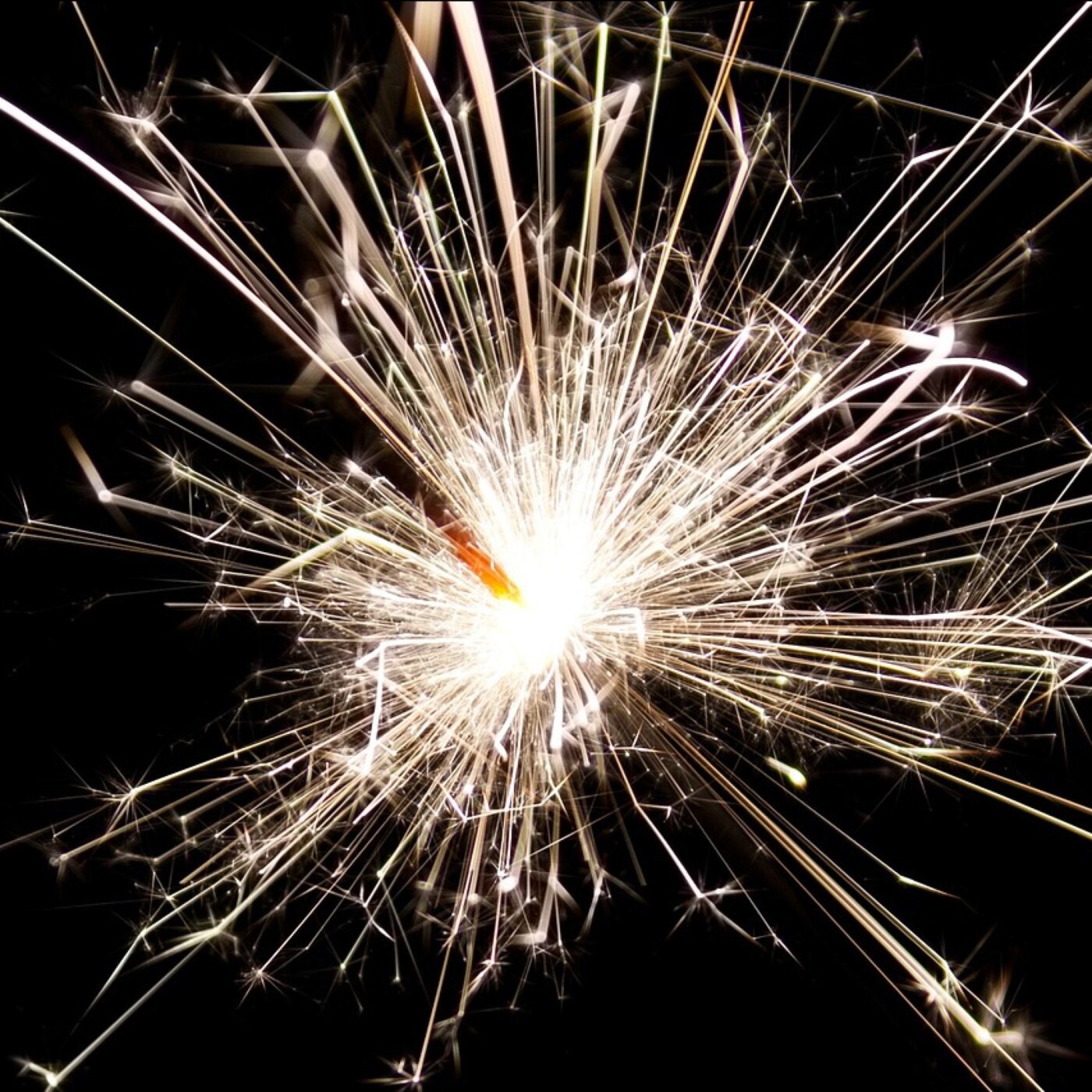 Le grand invité du matin