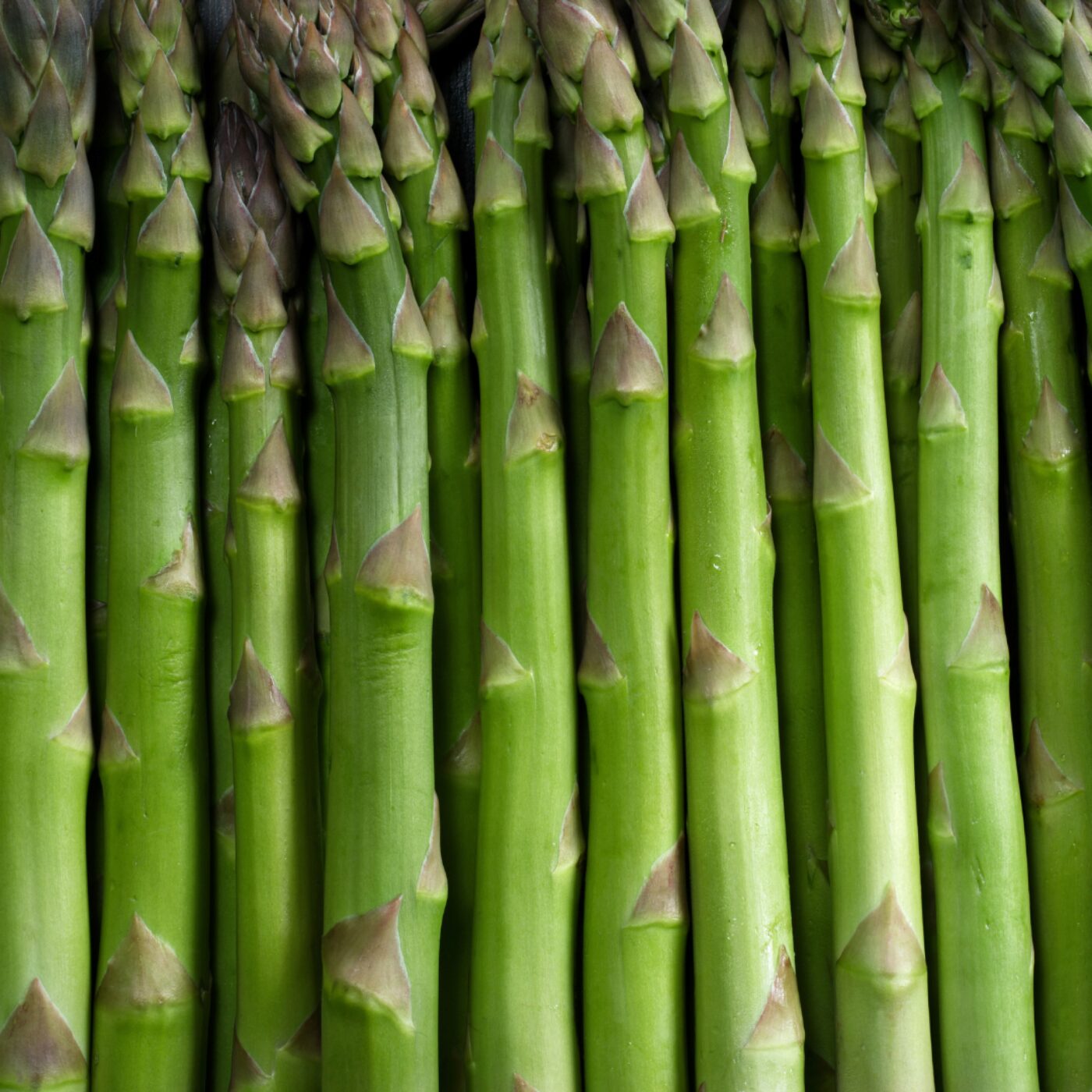 Préparez-vous à récolter les asperges ! episode artwork