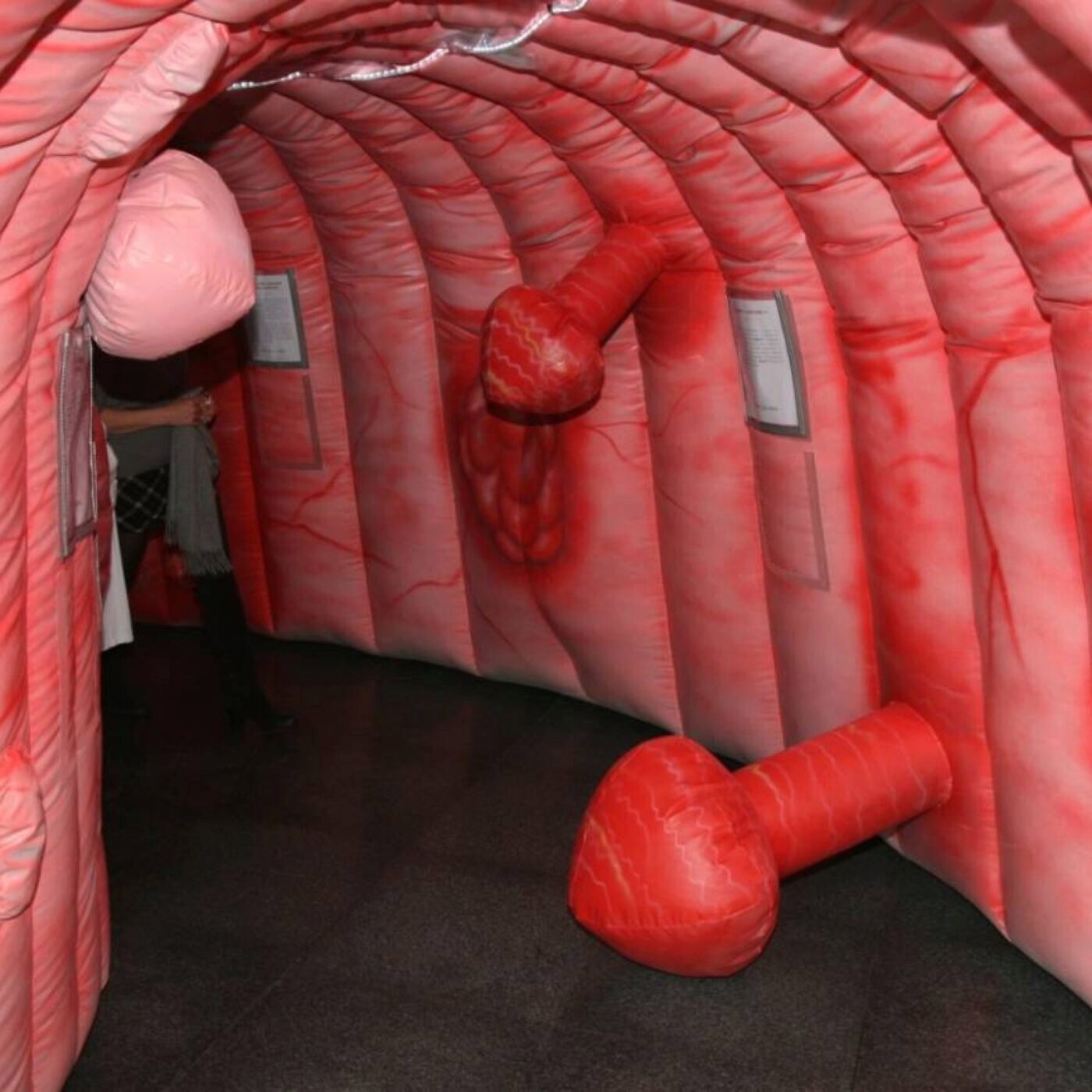 Une conférence sur le cancer colorectal à Lons-le-Saunier episode artwork