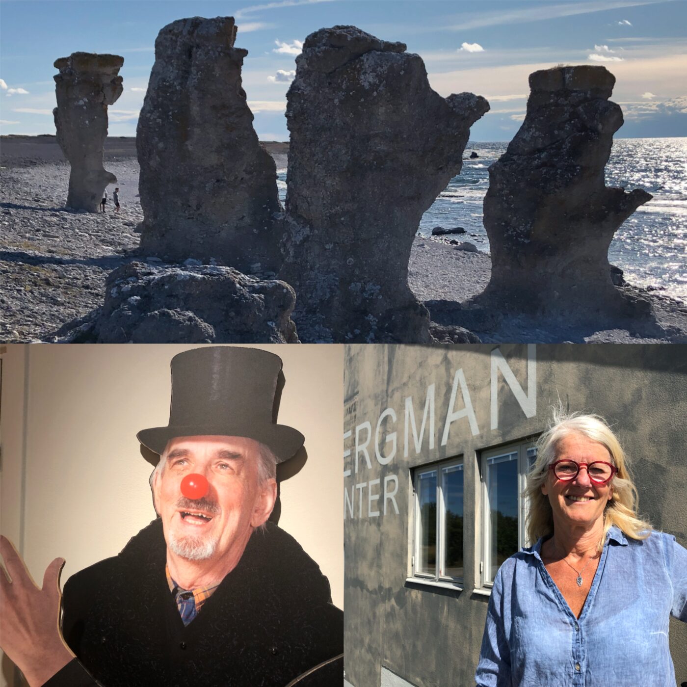 Dans les îles de Suède, à Fårö, Bergman Island episode artwork