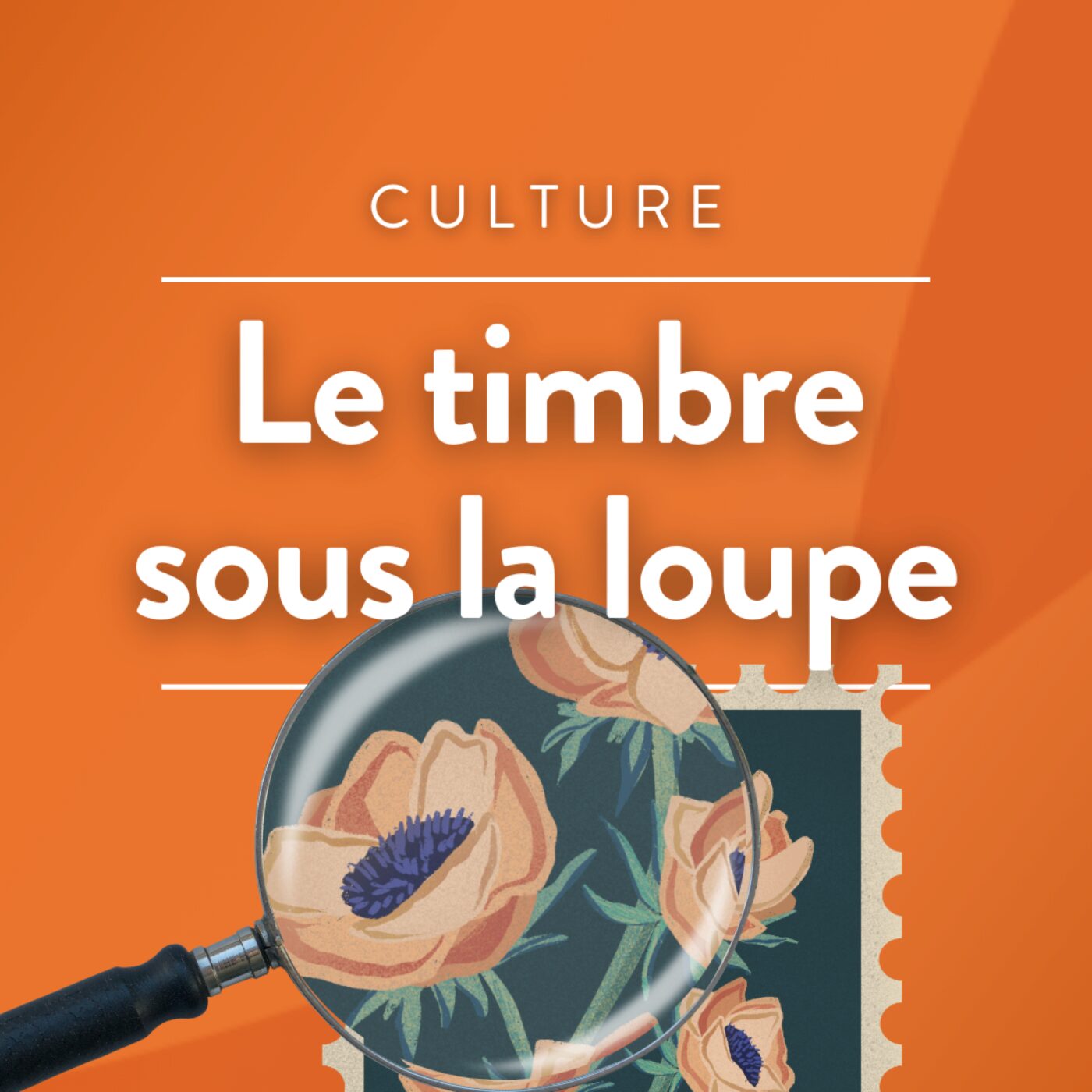 Le timbre sous la loupe