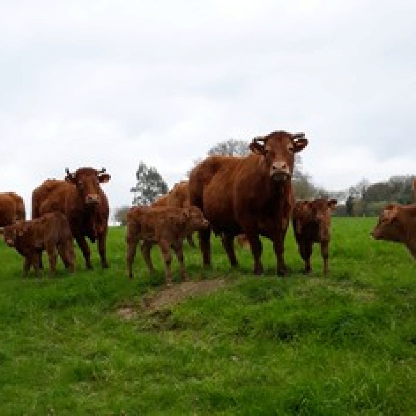 Les exploitants agricoles veulent lutter contre les intrusions episode artwork
