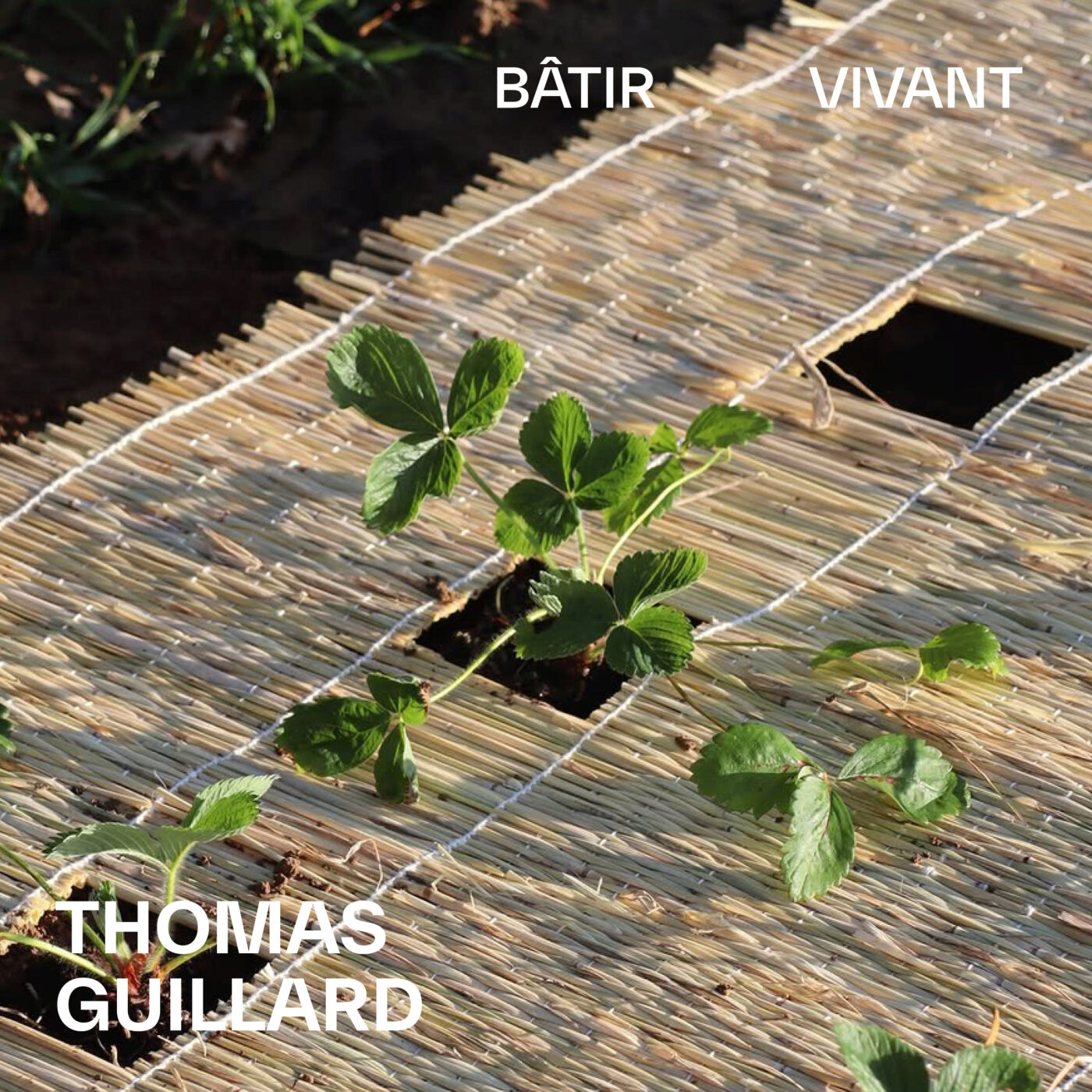 BÂTIR VIVANT