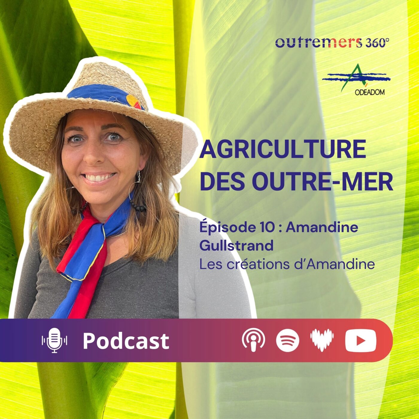 Agriculture des Outre-mer