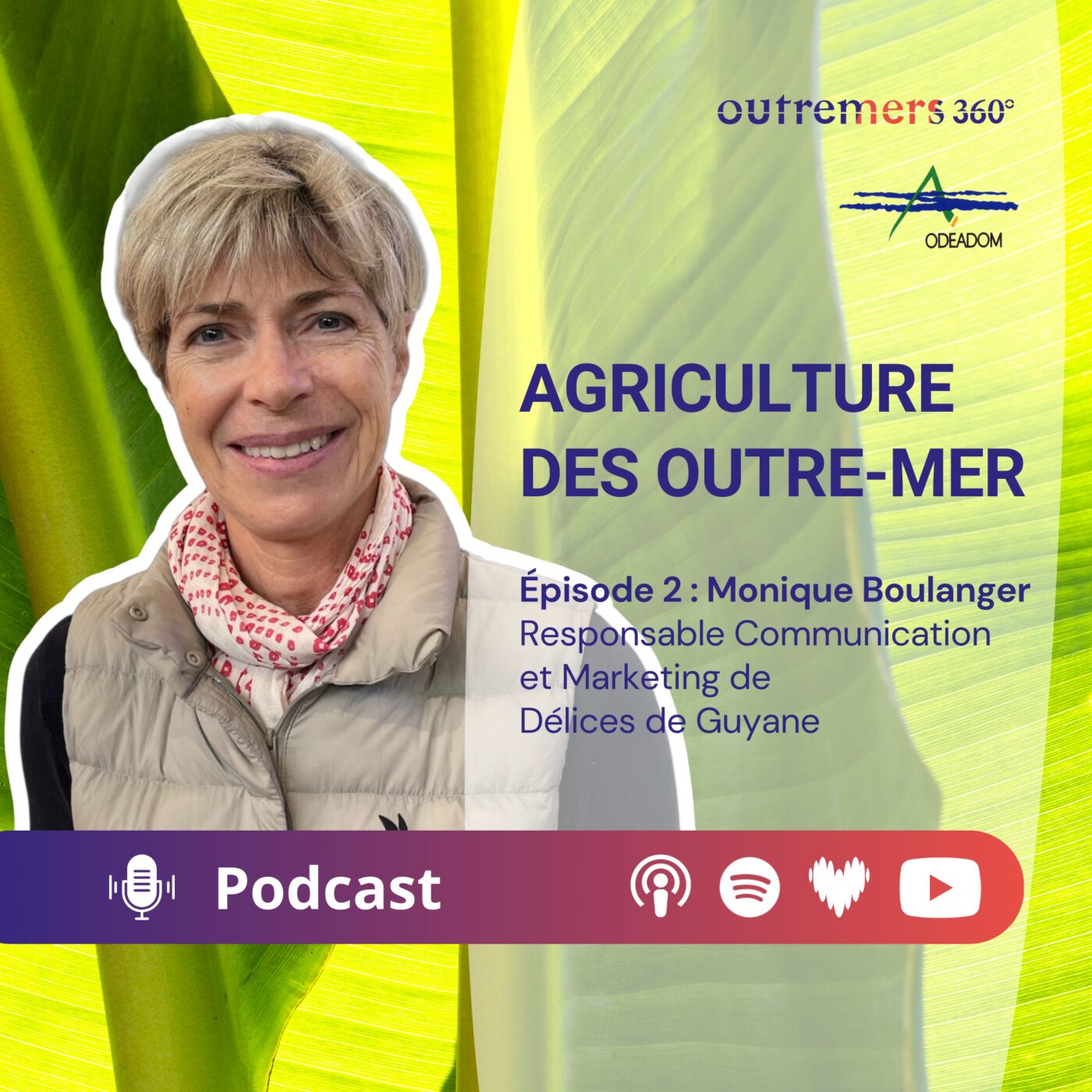 Agriculture des Outre-mer