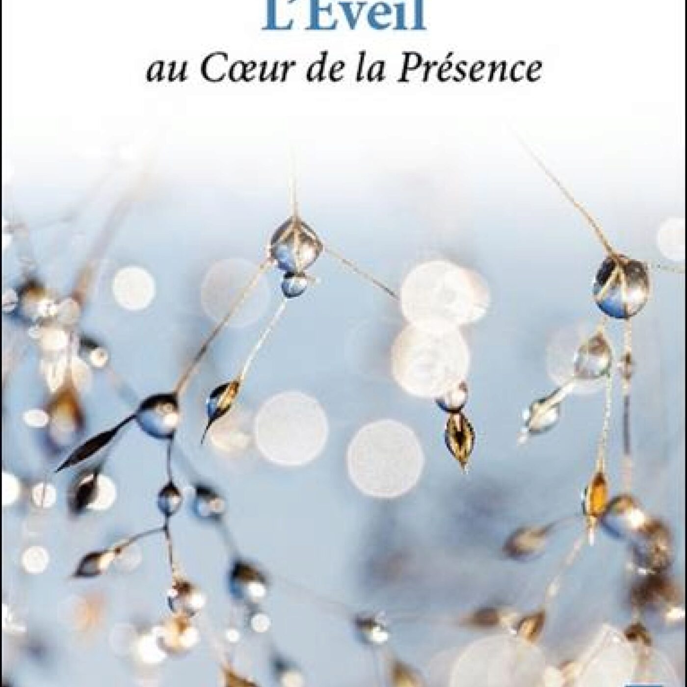 Magazine littéraire