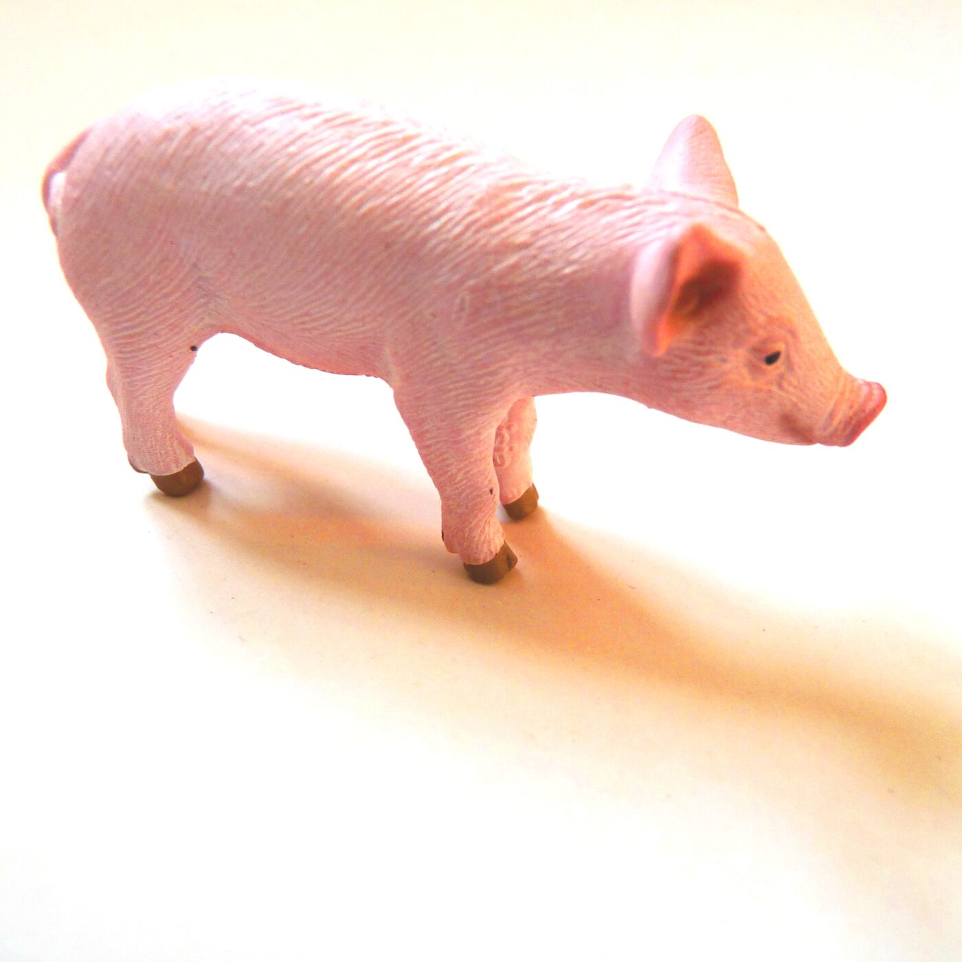 Laurence - charcuterie Laurence - charcuterie