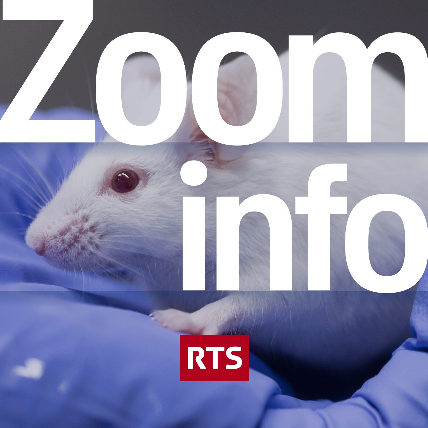 Zoom info ‐ RTS