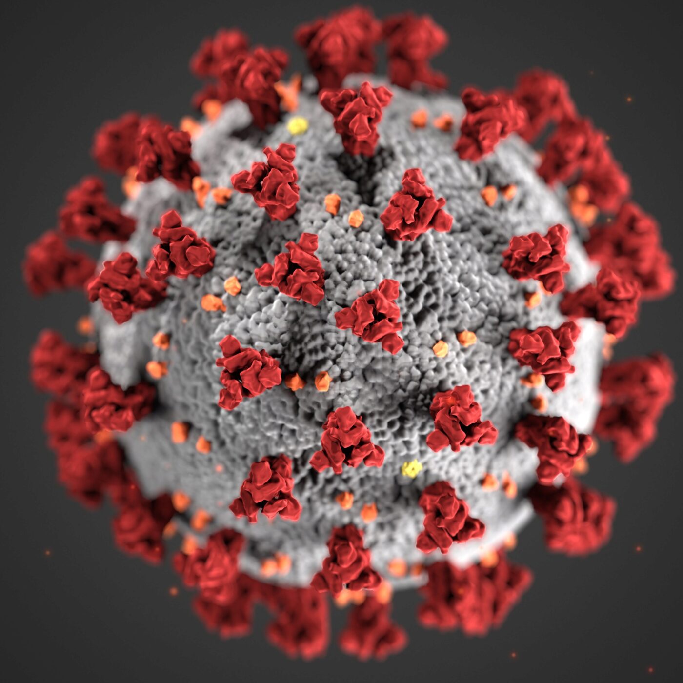 23 janvier 2020: Wuhan en Chine est confinée à cause d'un virus inconnu episode artwork