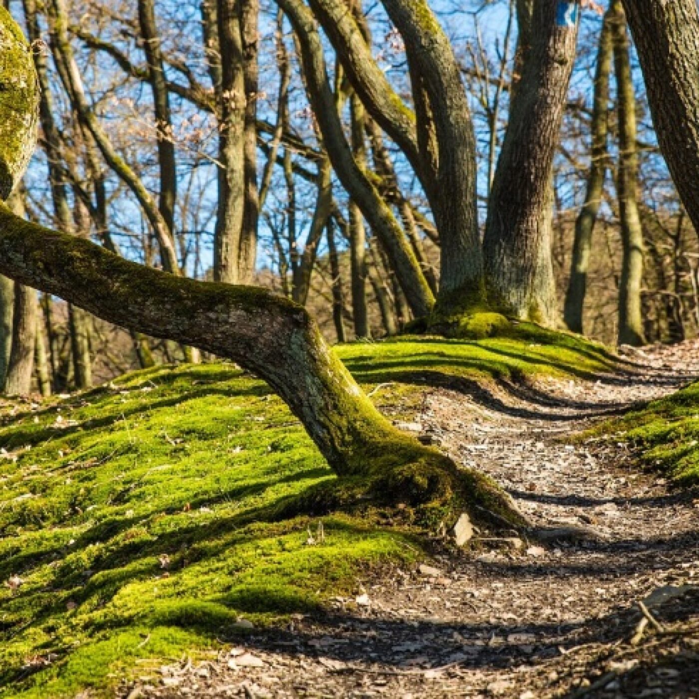 Méditation chrétienne · RCF Alsace