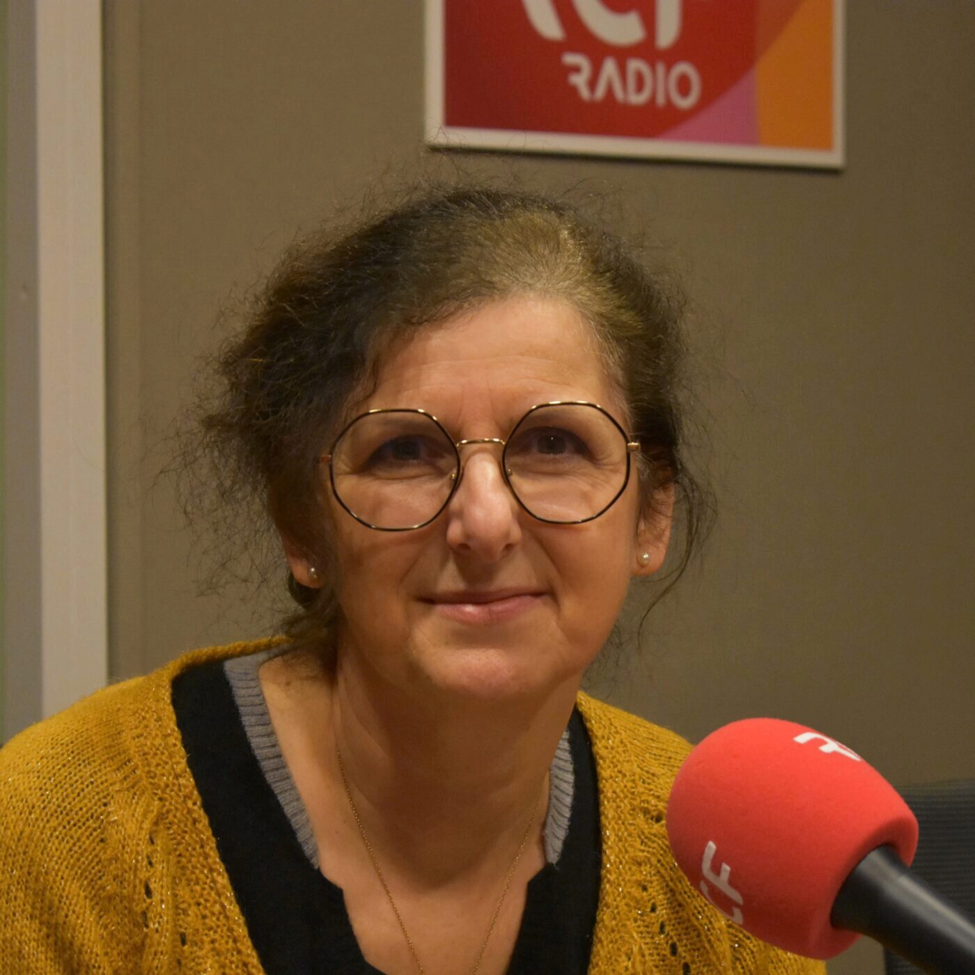 Fabienne Picardat, directrice territoriale de France Travail 49 episode artwork