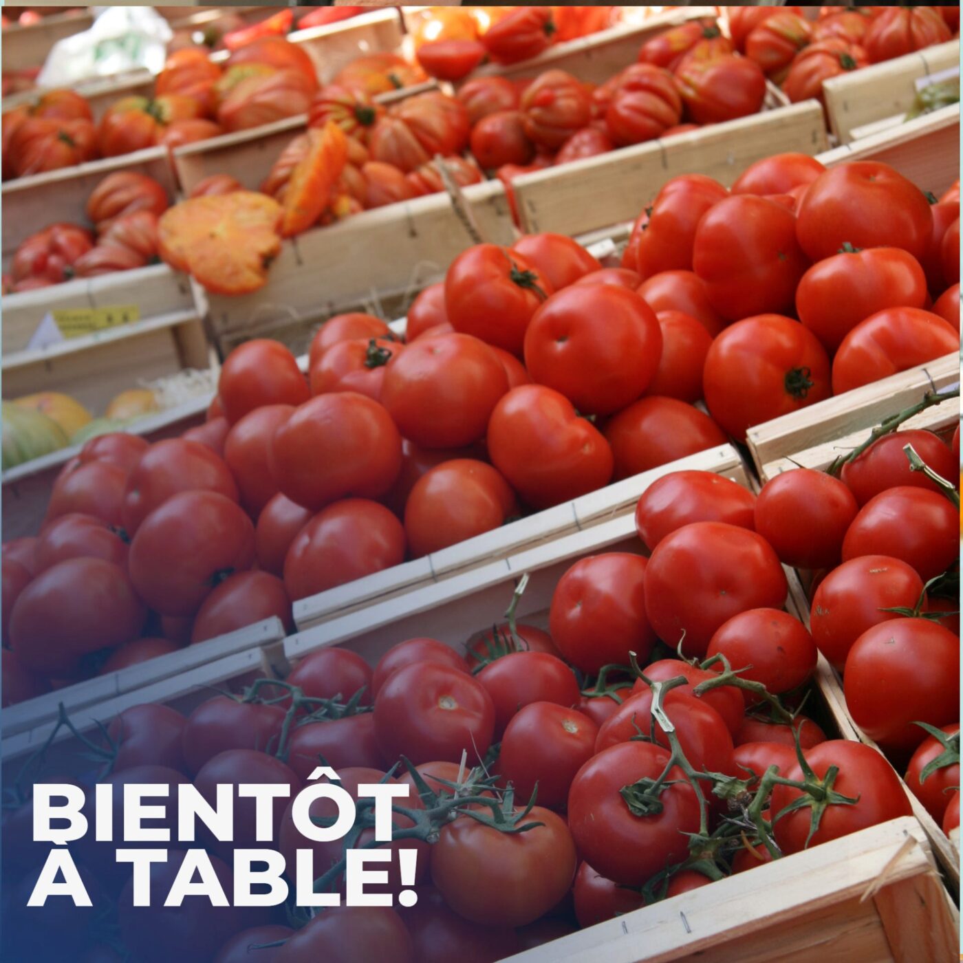 Panier de l'été bien sourcé