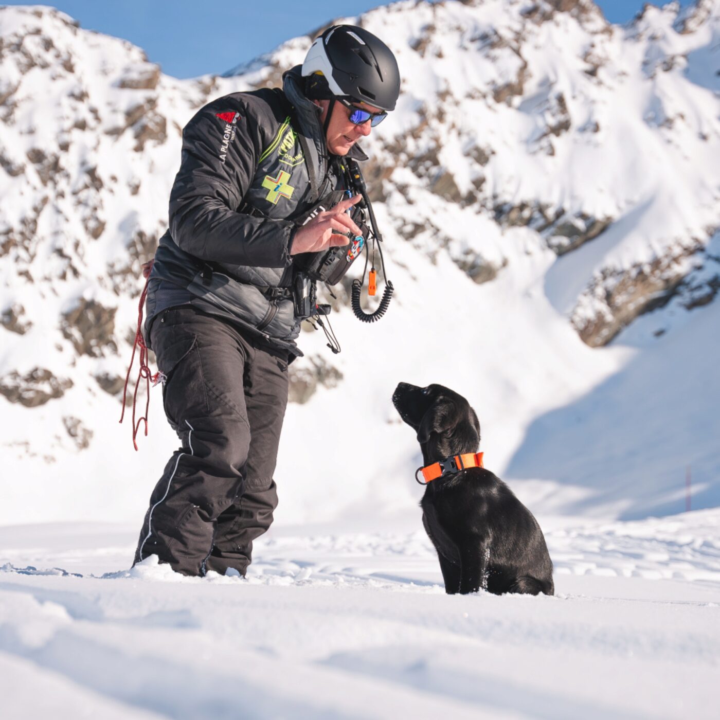 "C'est notre parachute de secours", le chien d'avalanche testé à la Plagne episode artwork
