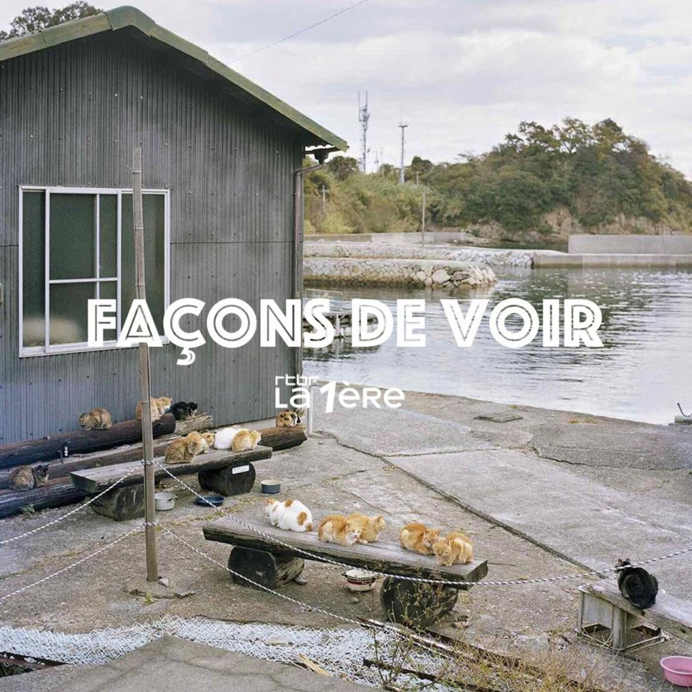 Façons de Voir : PhotoBrussels Festival – Daniel Dethier