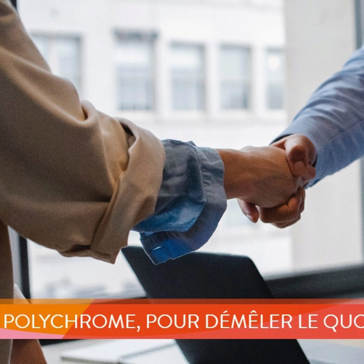 Polychrome, pour démêler le quotidien