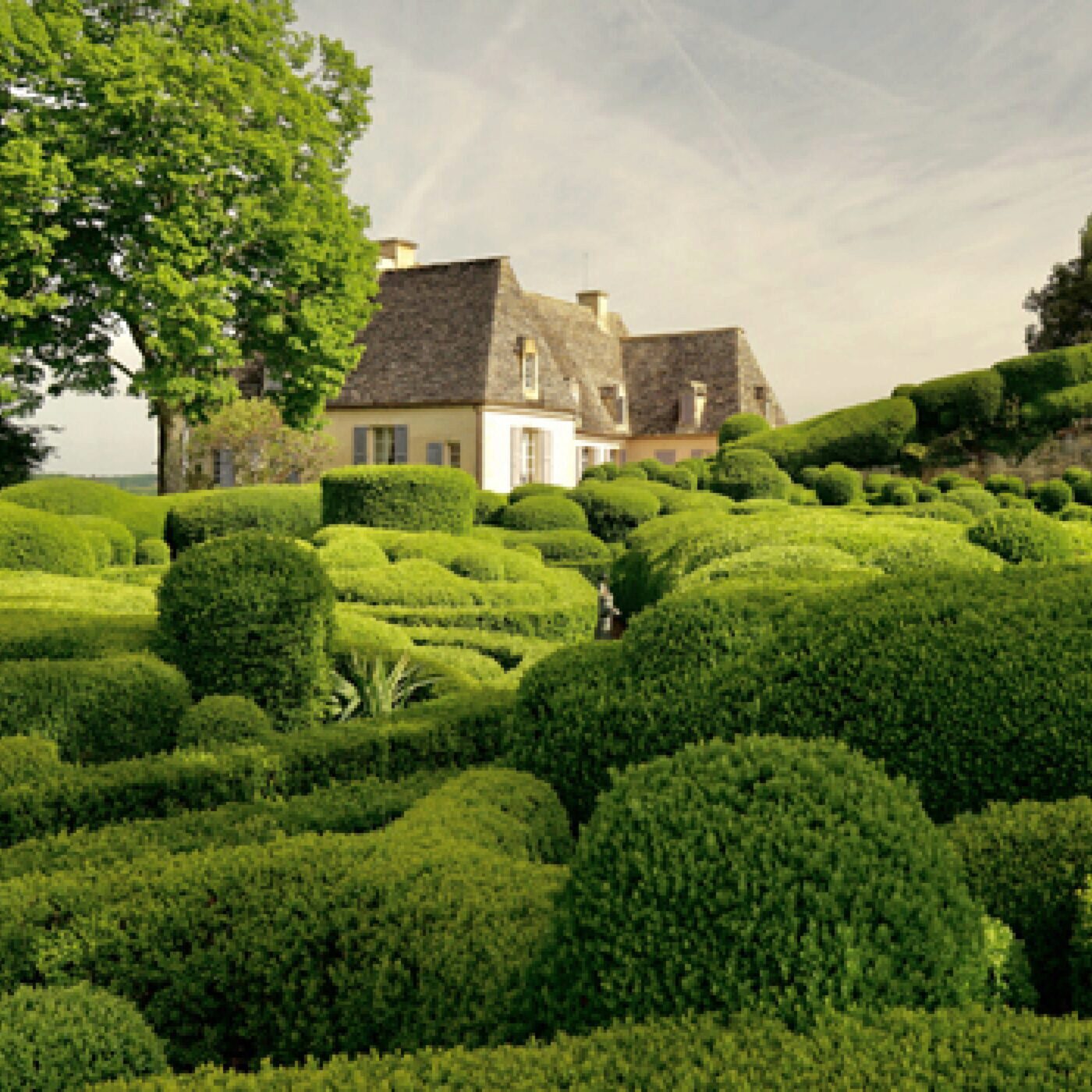 Les jardins français, du cloître monastique aux murs végétalisés (1/5) episode artwork