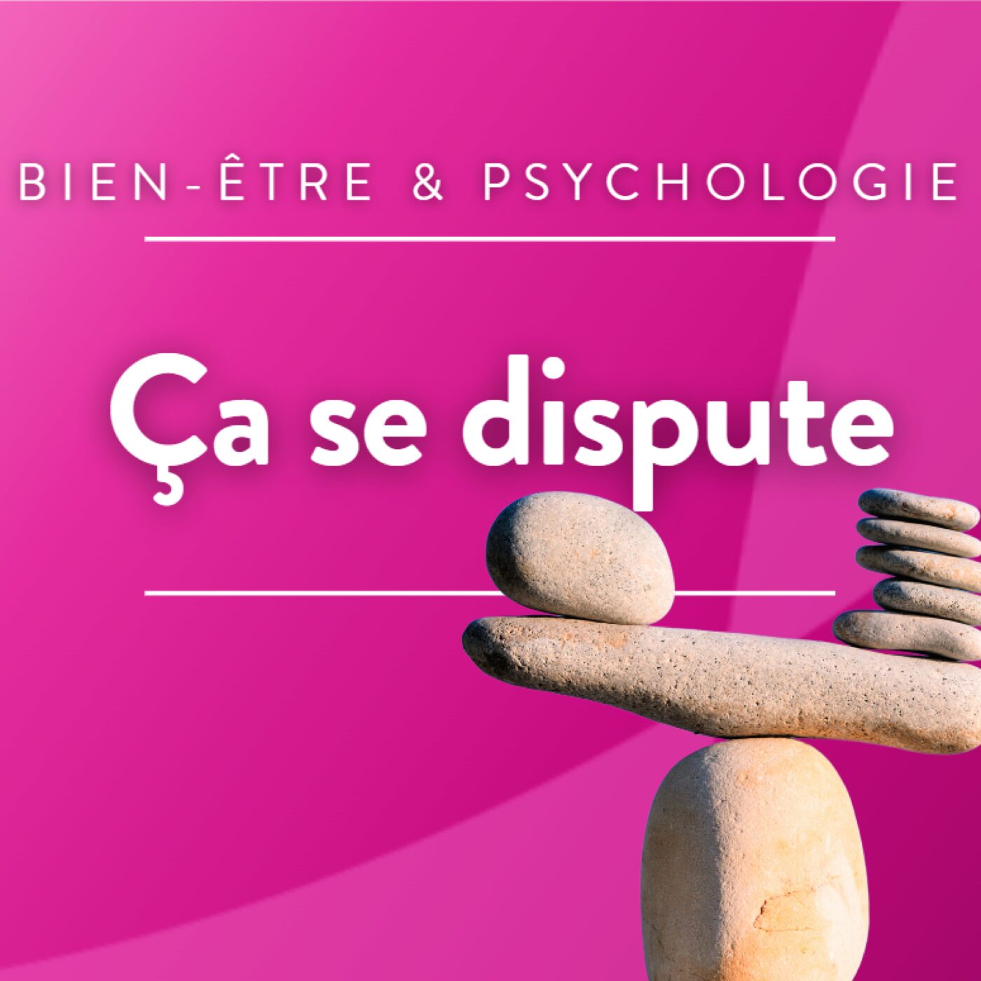 Ça se dispute