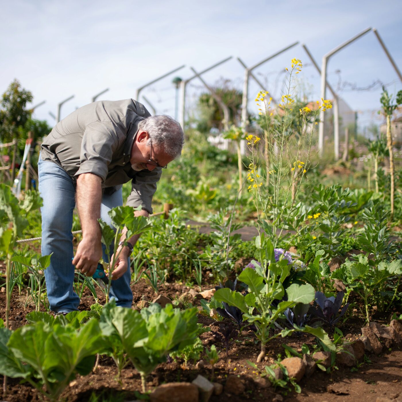 Prenez-en de la graine : des conseils jardinage écolos