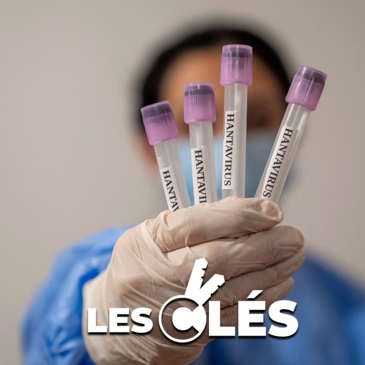 Faut-il avoir peur du hantavirus ? Faut-il avoir peur du hantavirus ?