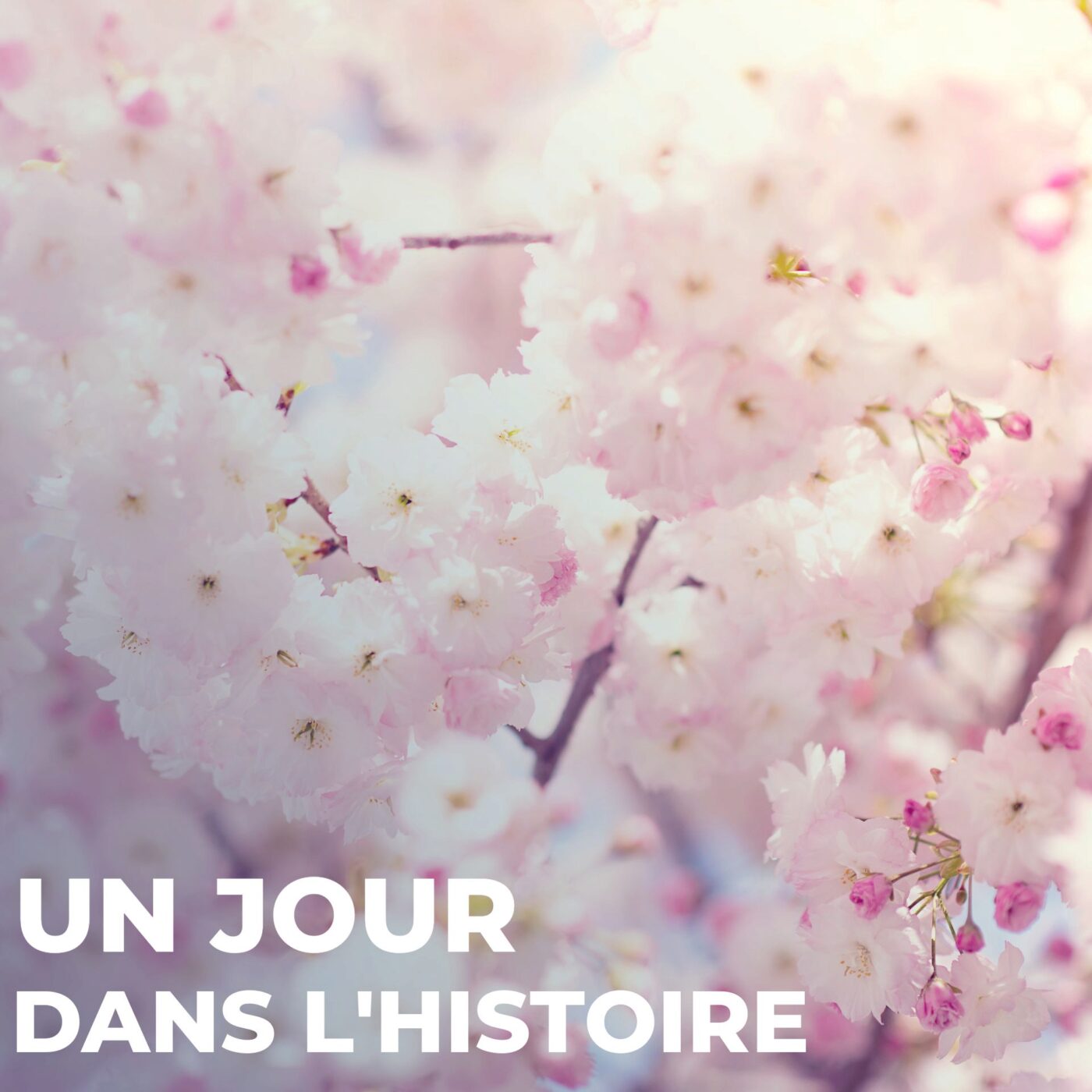 Le rose : pas qu’une couleur de poupée