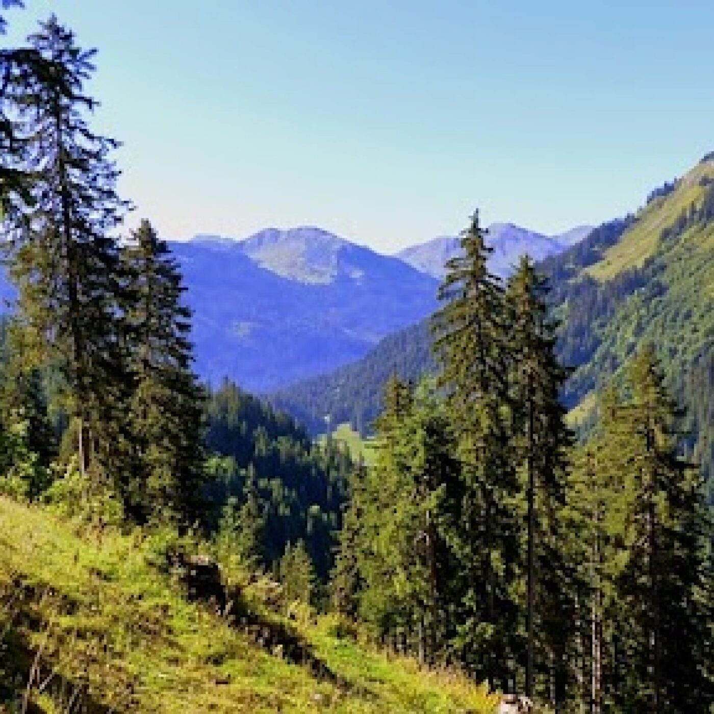 Chronique Actu · RCF Alsace