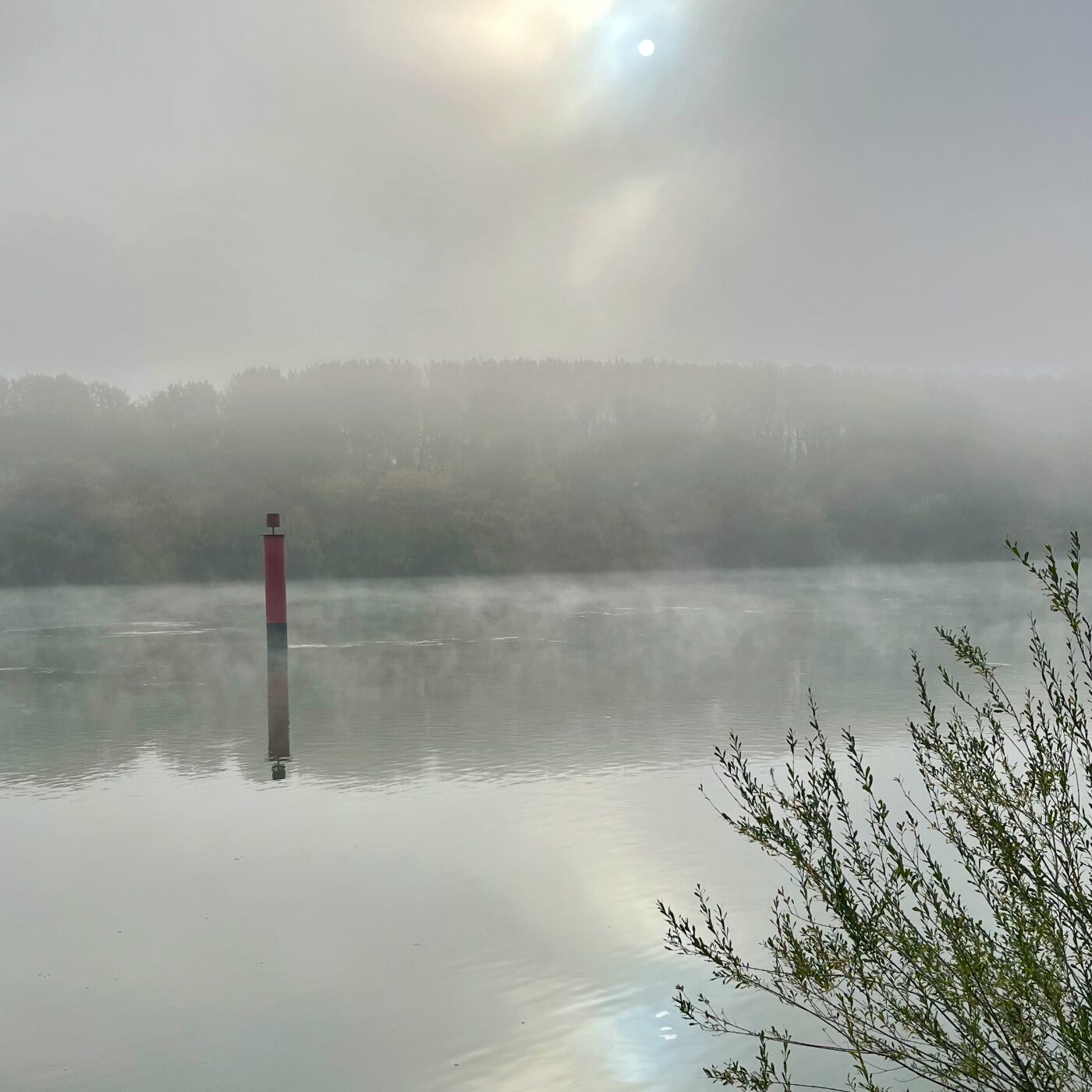 La Tête au-dessus du guidon