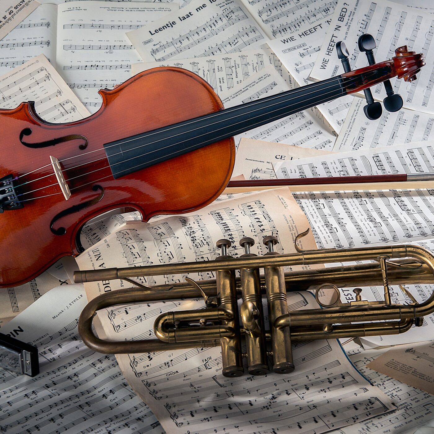 Musique classique et élitisme : comment la rendre accessible à tous ?