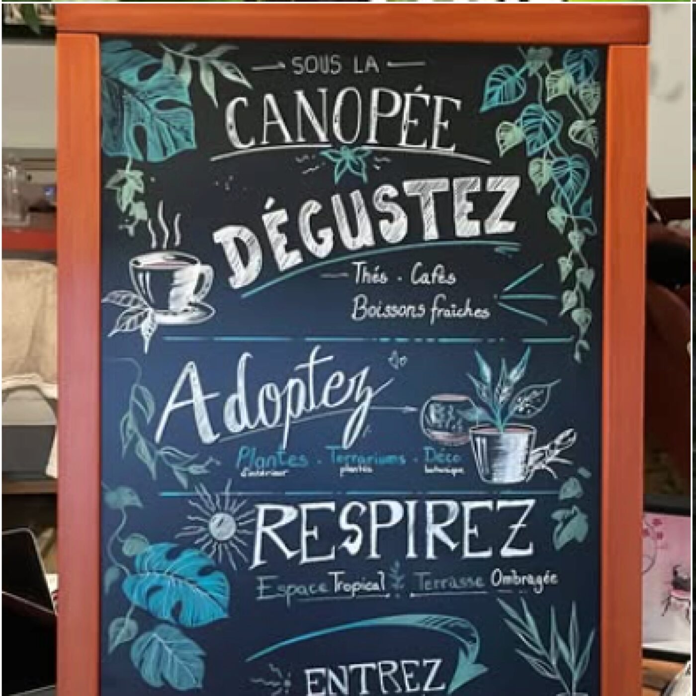 "Sous la canopée" à Bourges episode artwork