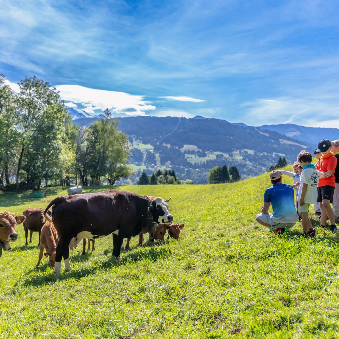  "L'objectif avec la culture montagne, c'est de donner les bons signaux" grâce à l'École Française de la Montagne episode artwork