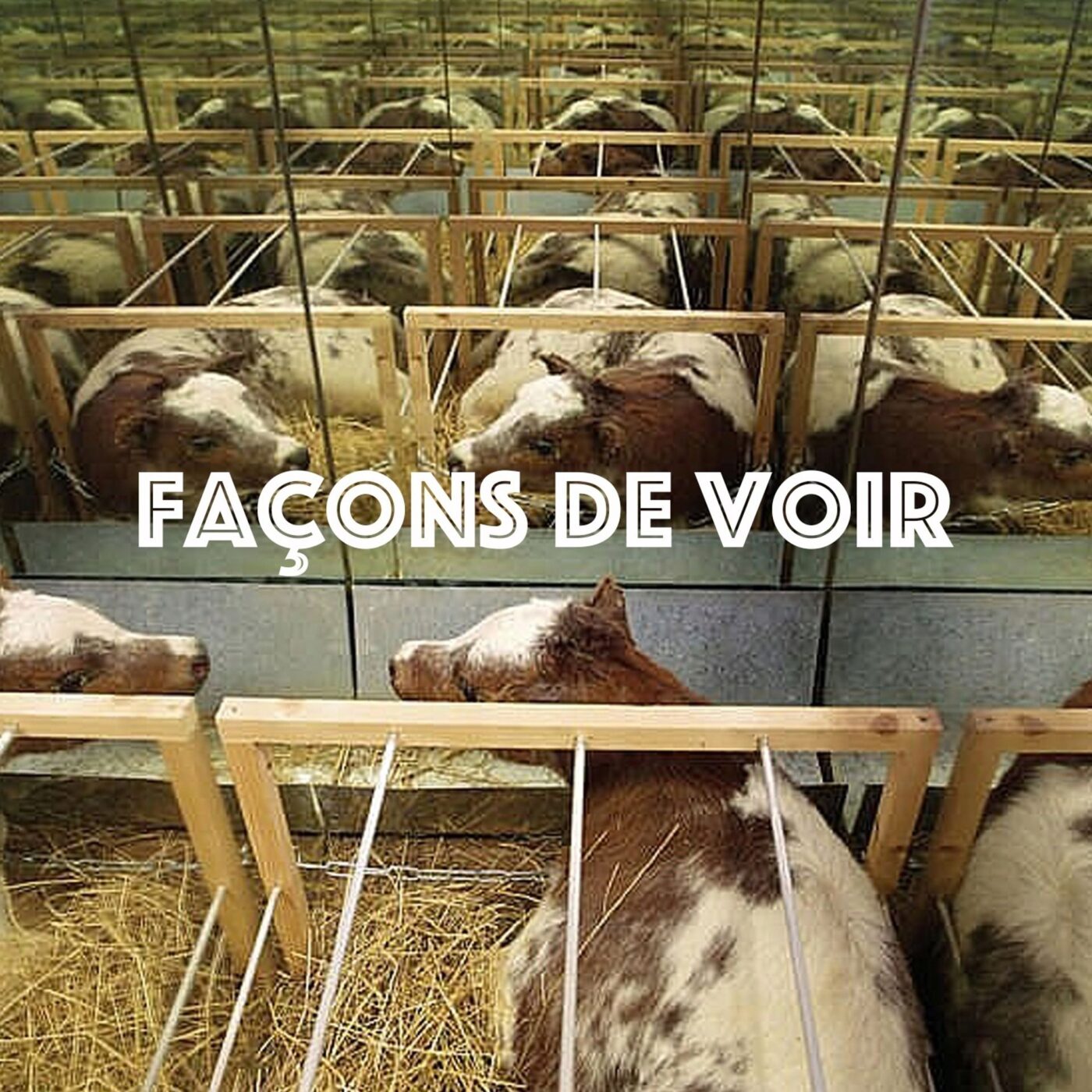 Façons de Voir - A table / Réparer le monde
