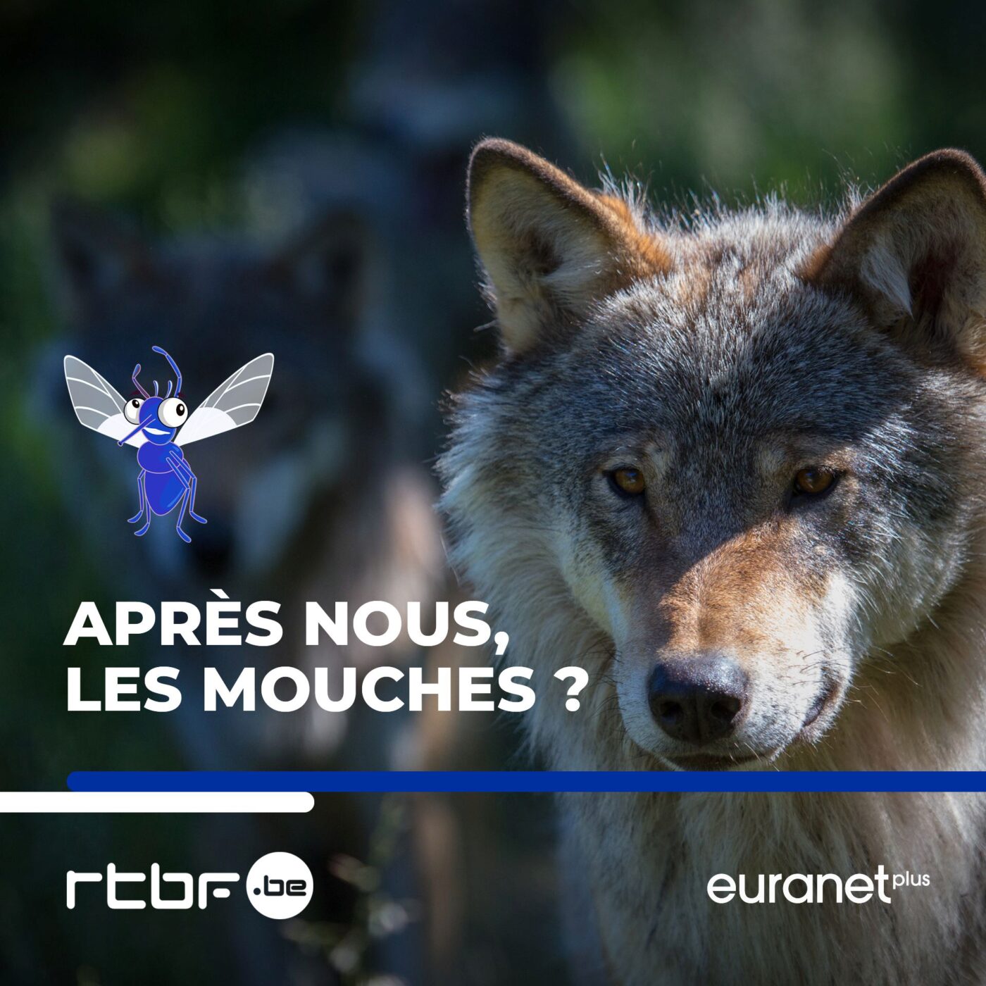 Biodiversité: il faut de tout pour faire un monde? (13/20)