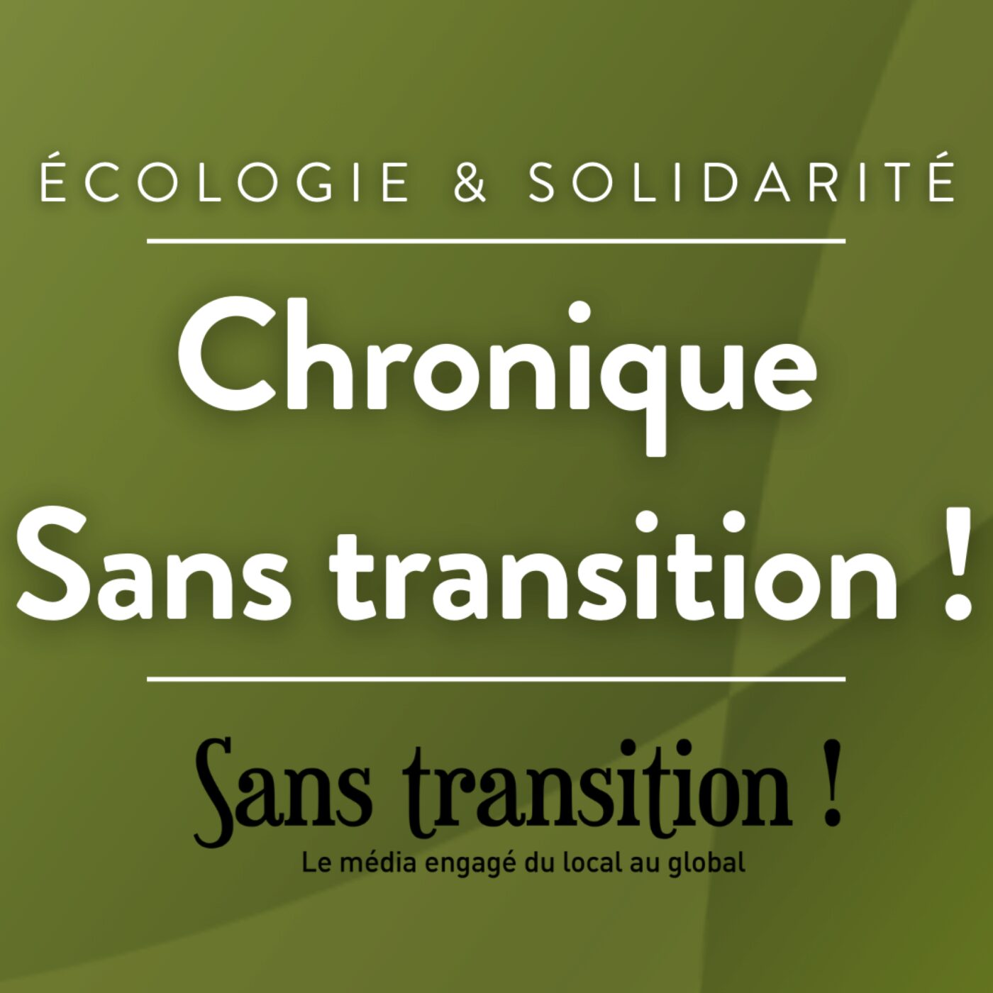 Chronique Sans Transition