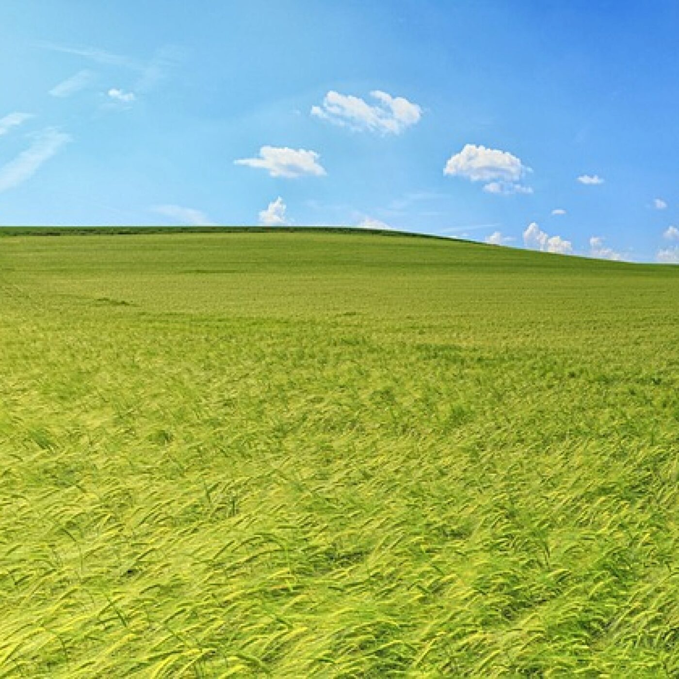 Journal régional de 12h30