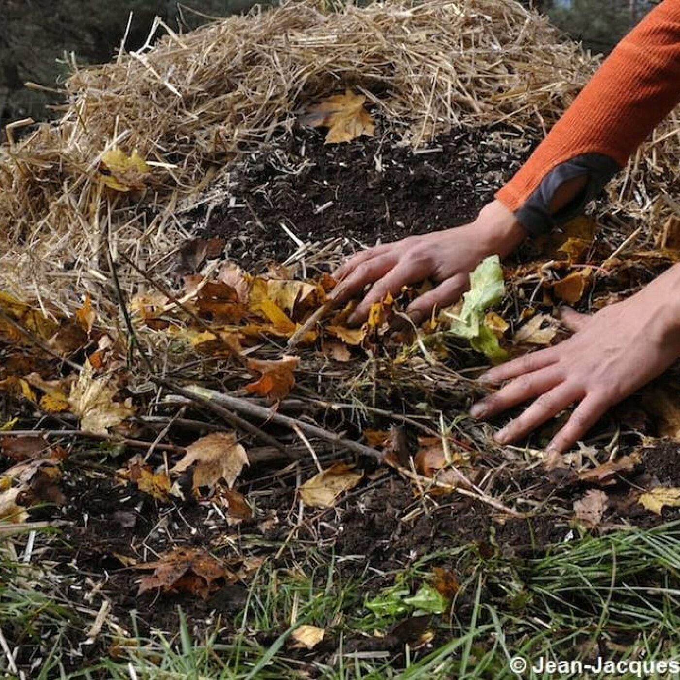 Jardiner avec les enfants, avec Terre Vivante