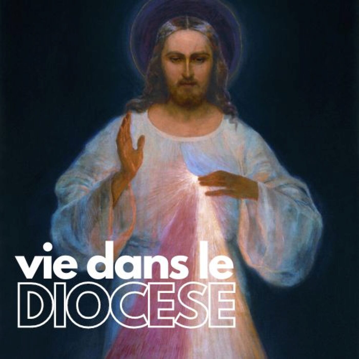 Vie dans le diocèse