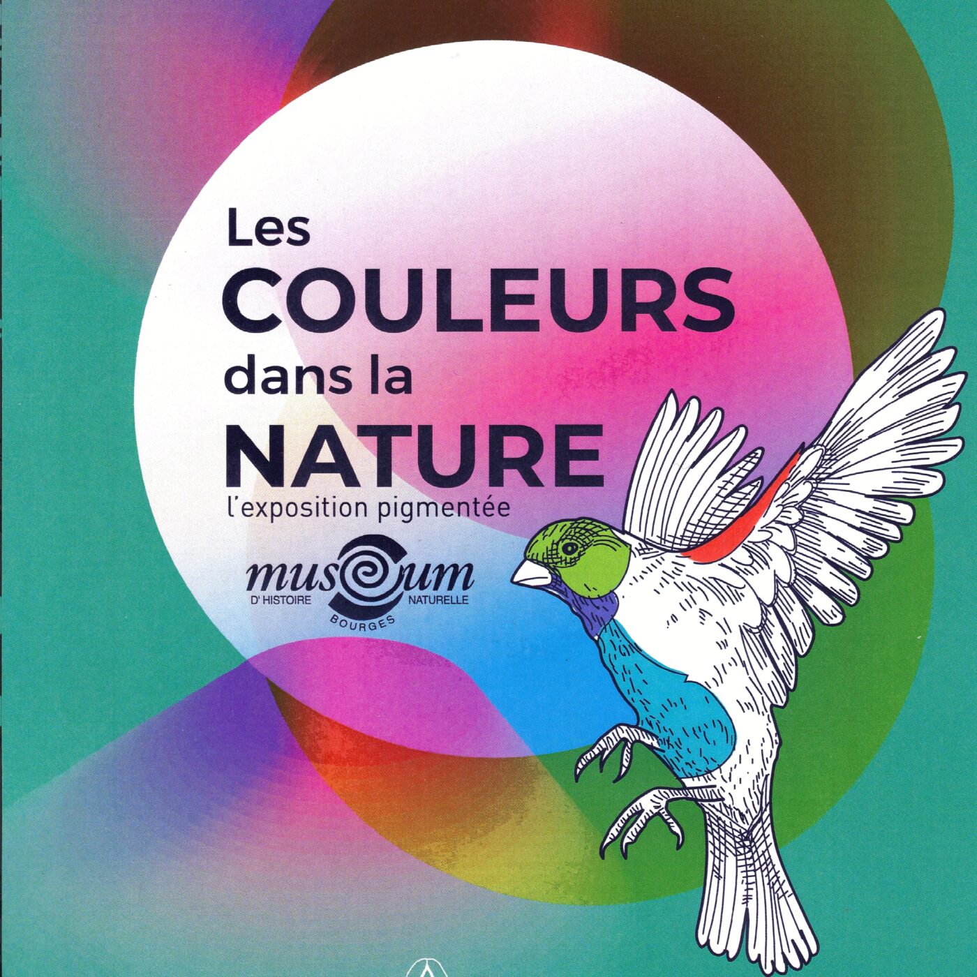 Des expos colorées pour les beaux jours au Muséum de Bourges episode artwork