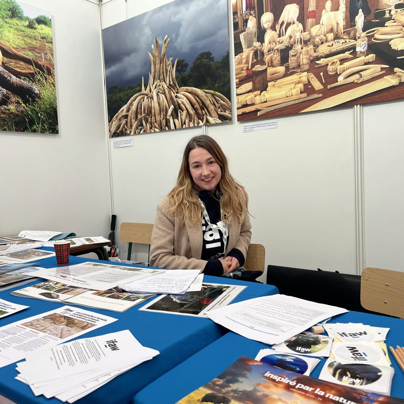 Pauline Perlot, chargée de relation donateurs chez ifaw France episode artwork