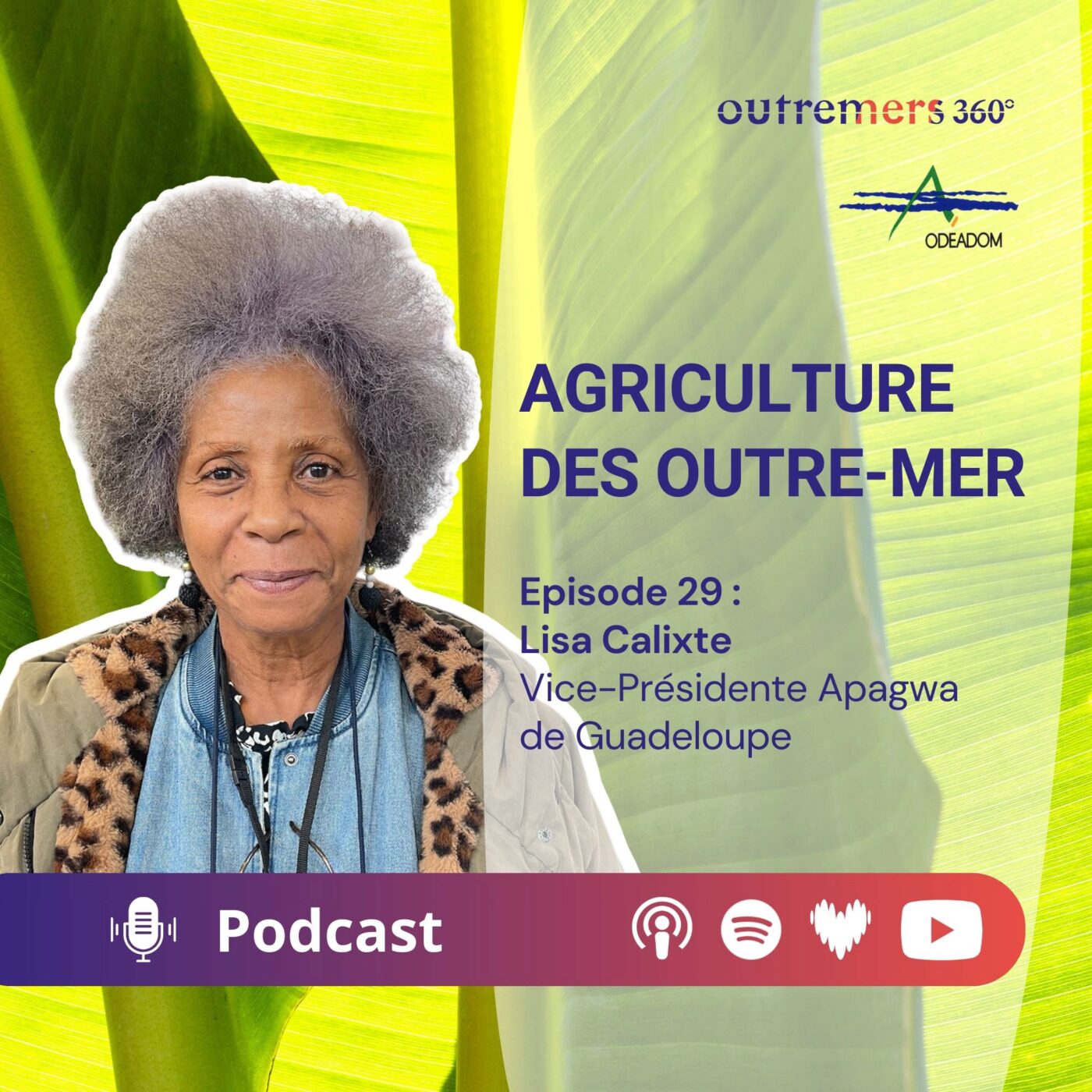 Agriculture des Outre-mer