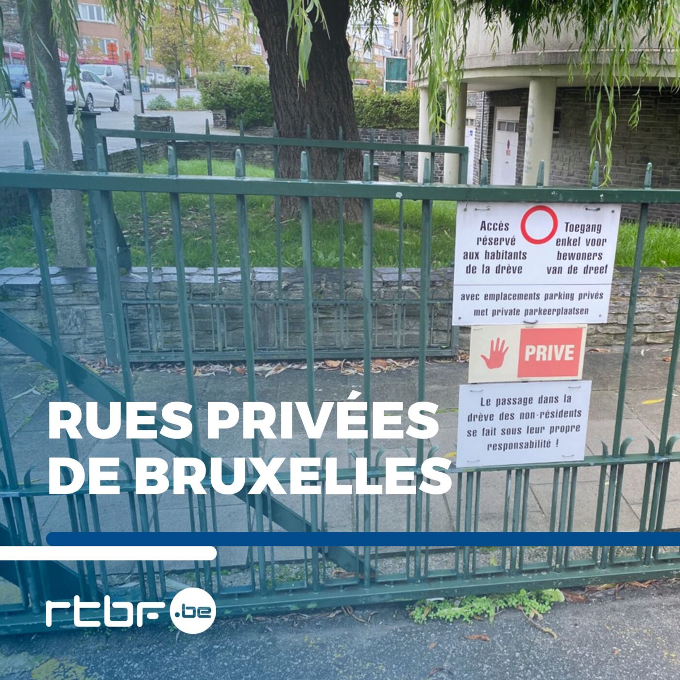Episode 3 : la drève des Saules