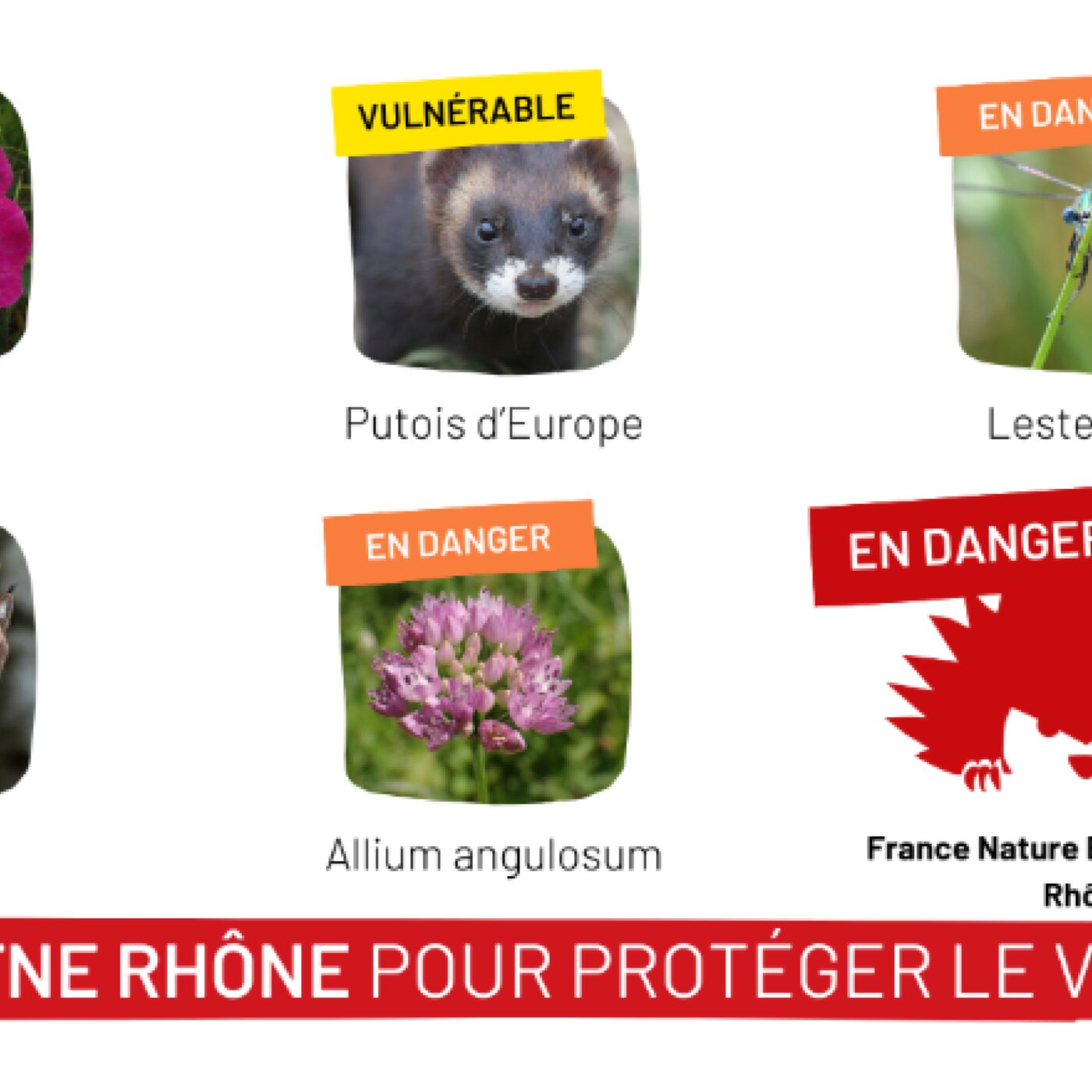 France Nature Environnement 69 est en danger episode artwork