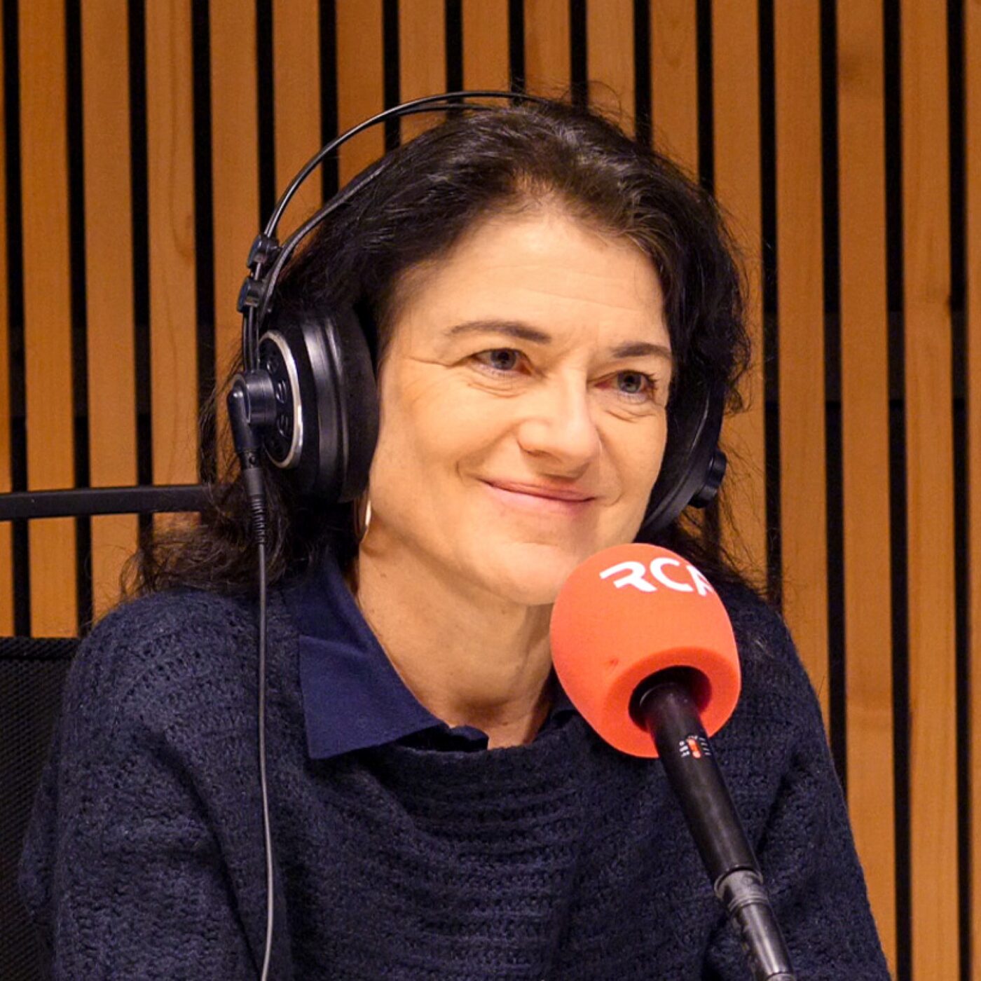 Municipales 2026 - Lyon : l'interview de Nathalie Perrin-Gilbert episode artwork