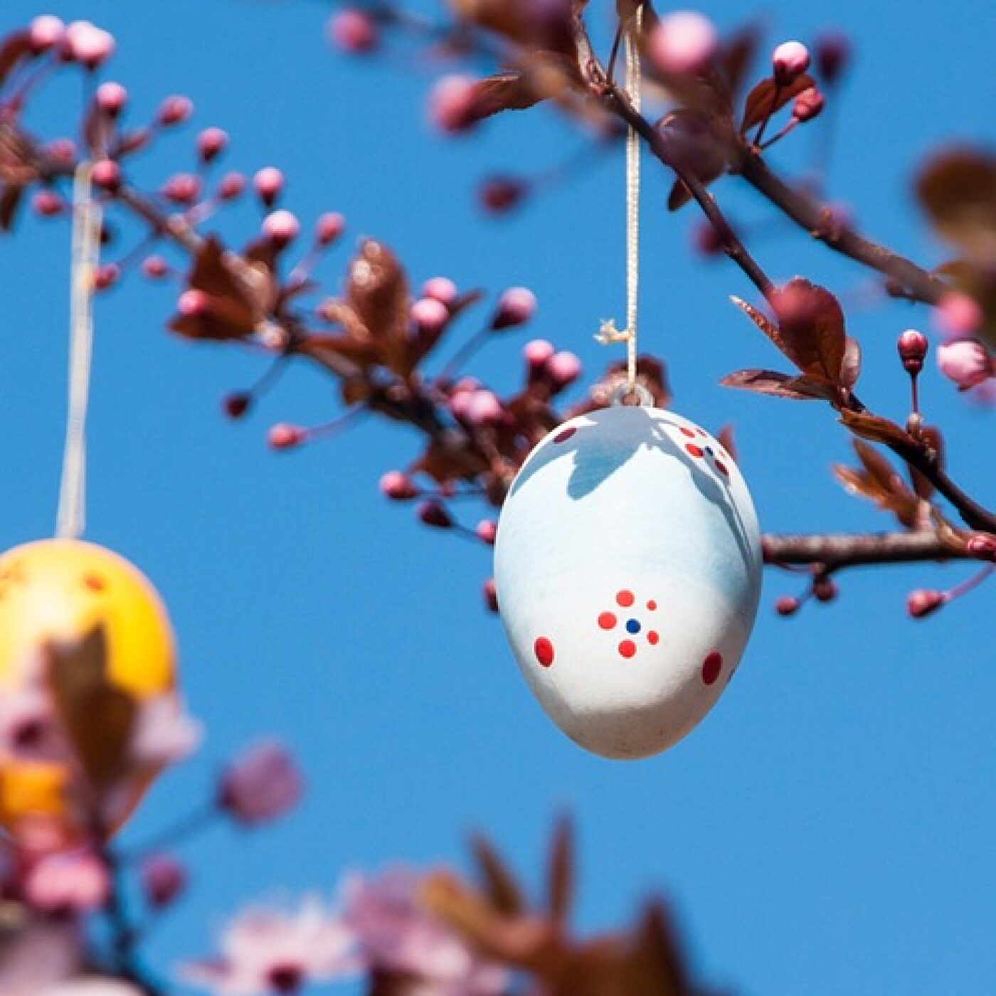 Le Téléphone du dimanche