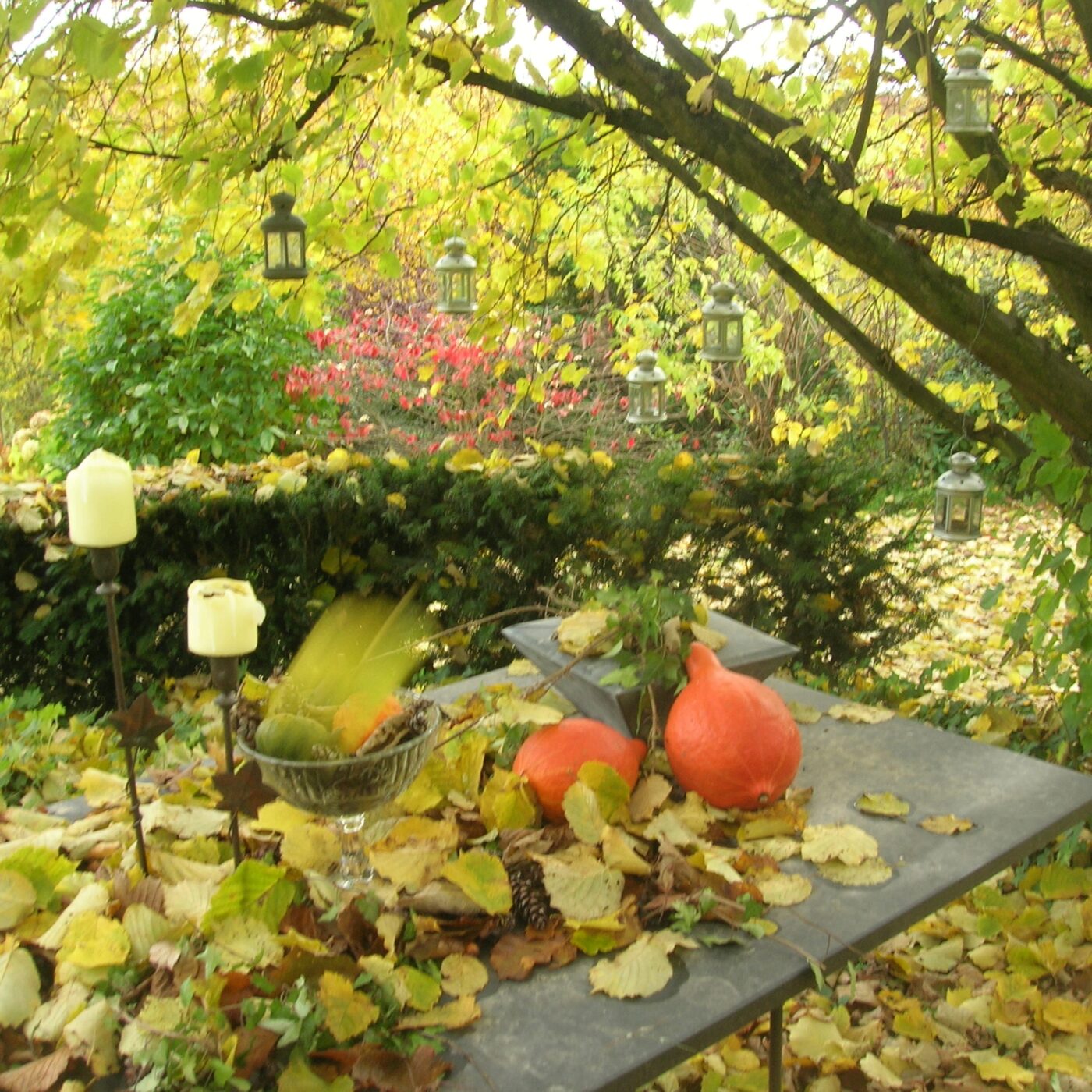 La chanson dans l\'âme