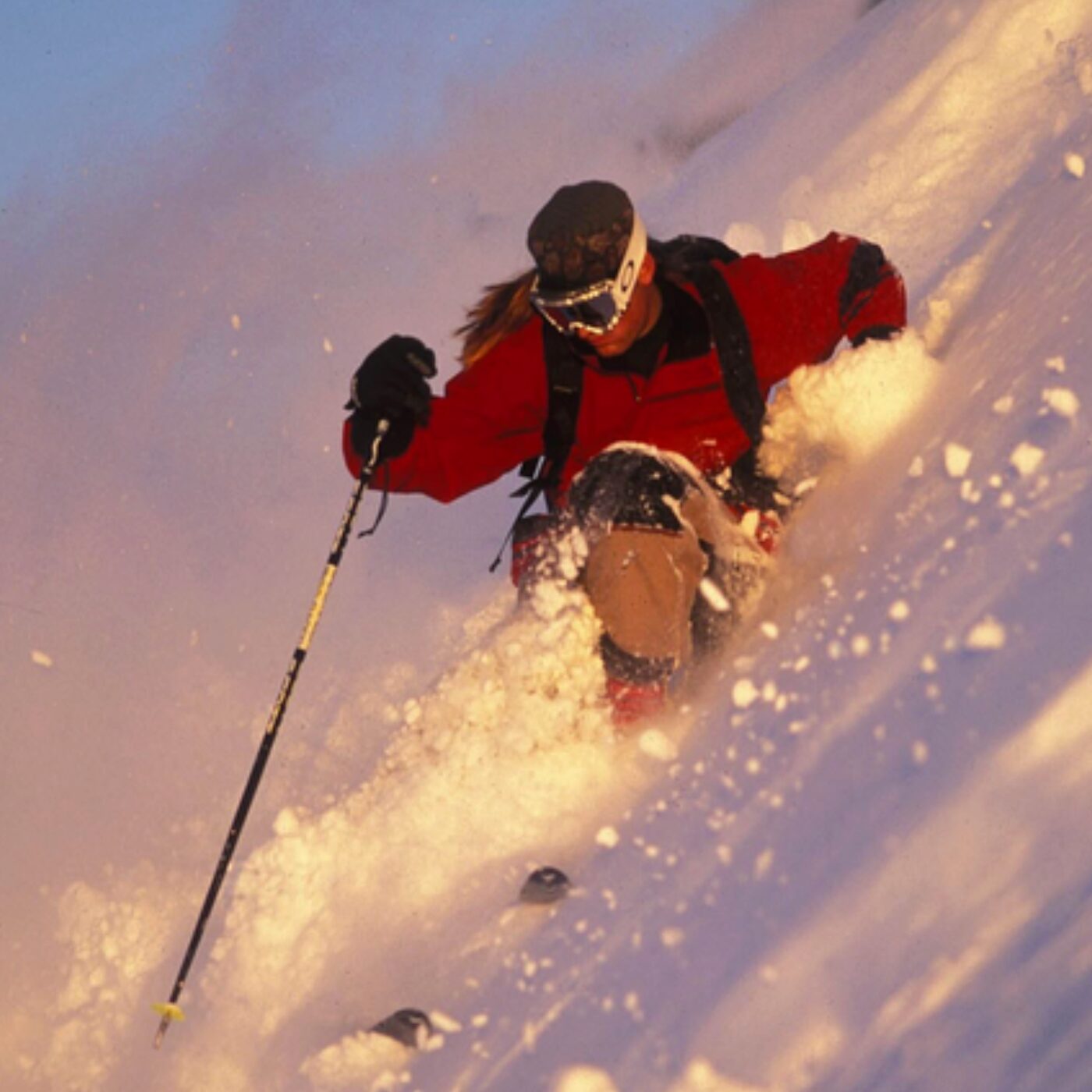 Matière à Penser – Tony Harrington, dit Harro : 40 ans au service de l’extrême