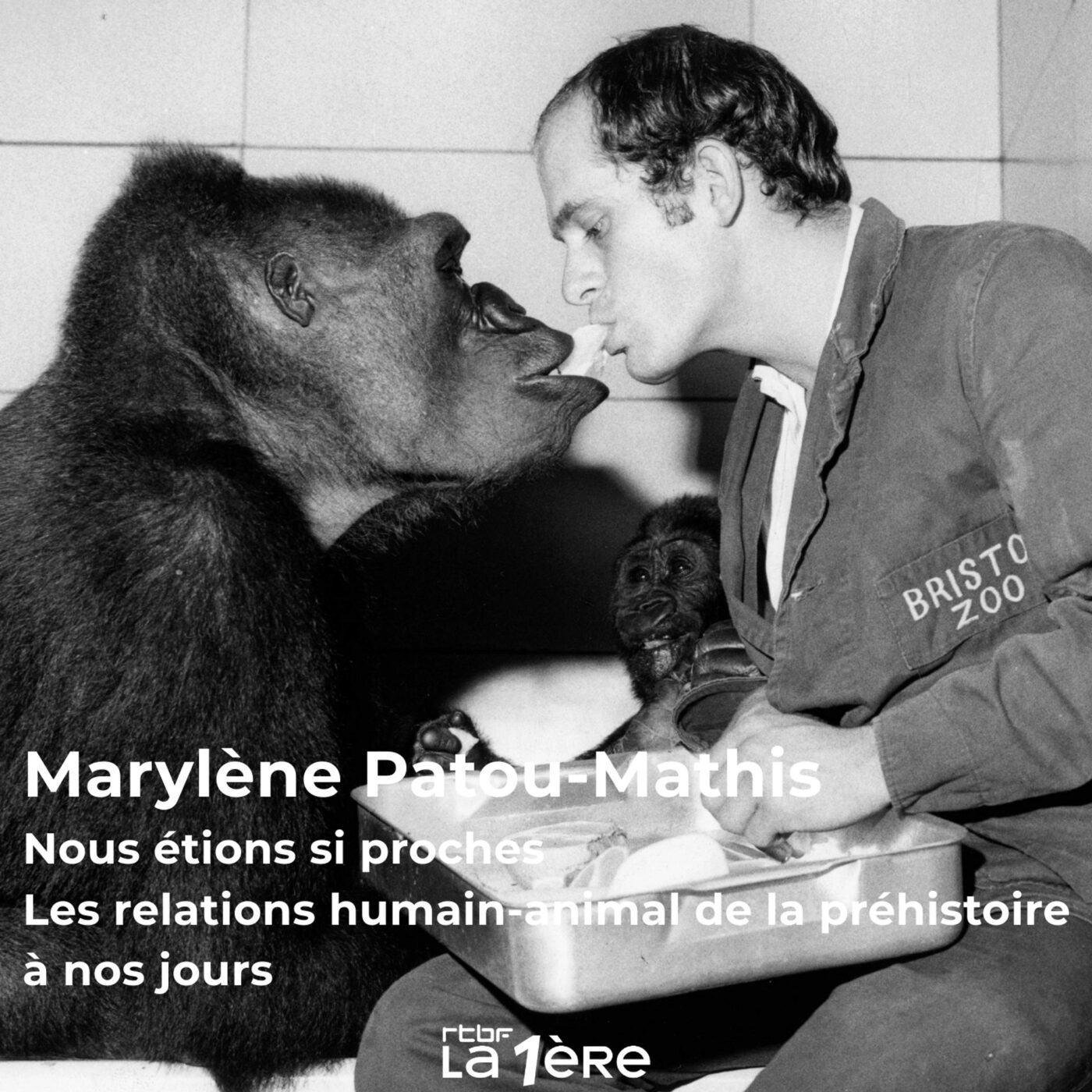 Marylène Patou-Mathis et "Nous étions si proches : Les relations humain-animal de la préhistoire à nos jours" : Un livre sur la fin du compagnonnage homme-animal