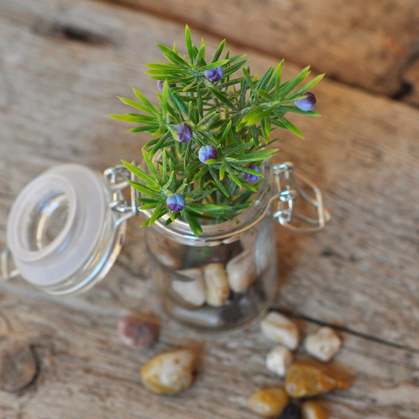 Jardiner avec les enfants, avec Terre Vivante